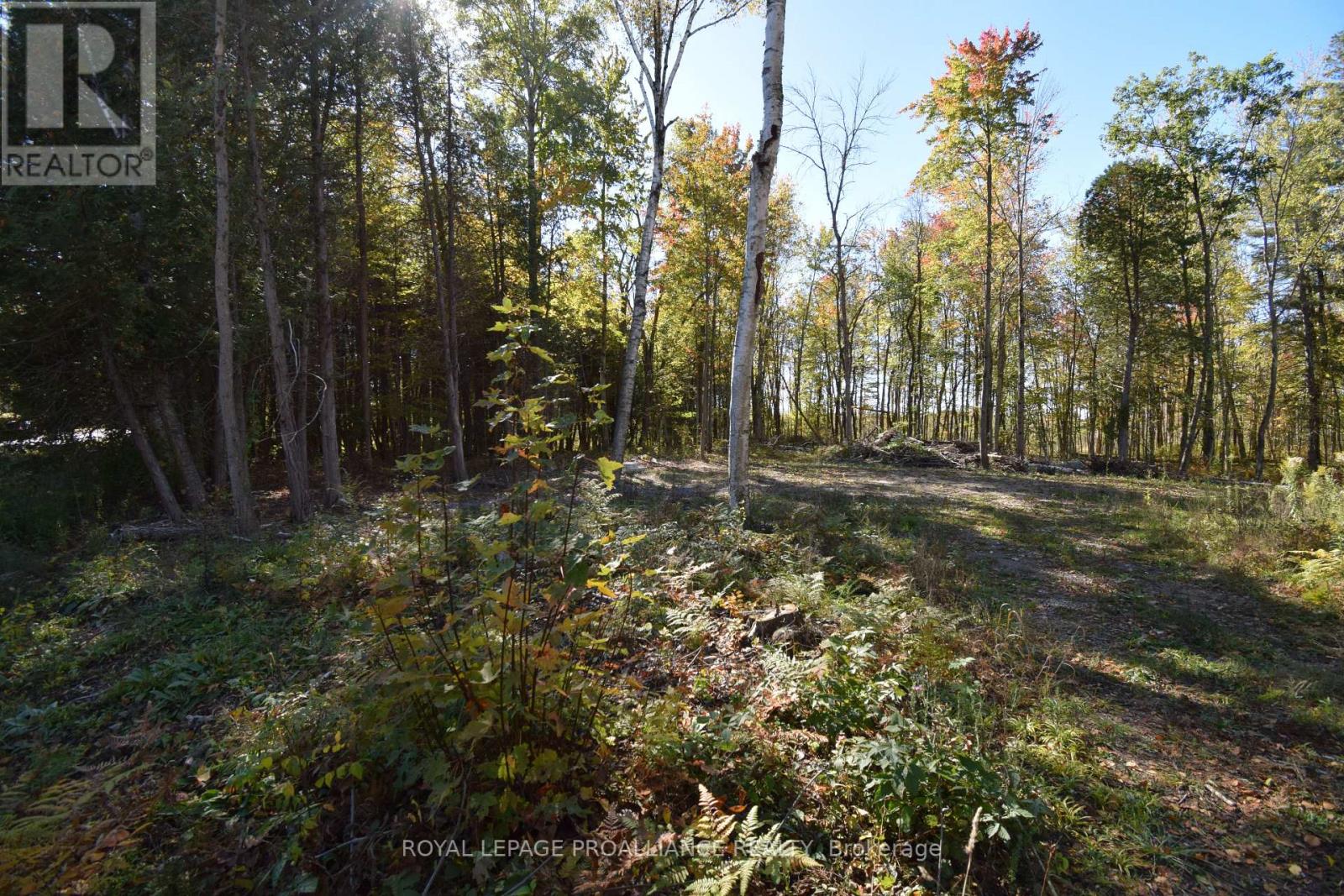 313 OLD MADOC RD