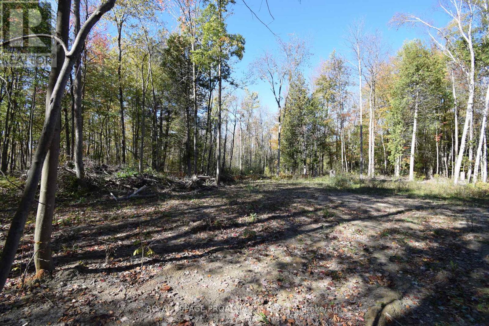 313 OLD MADOC RD