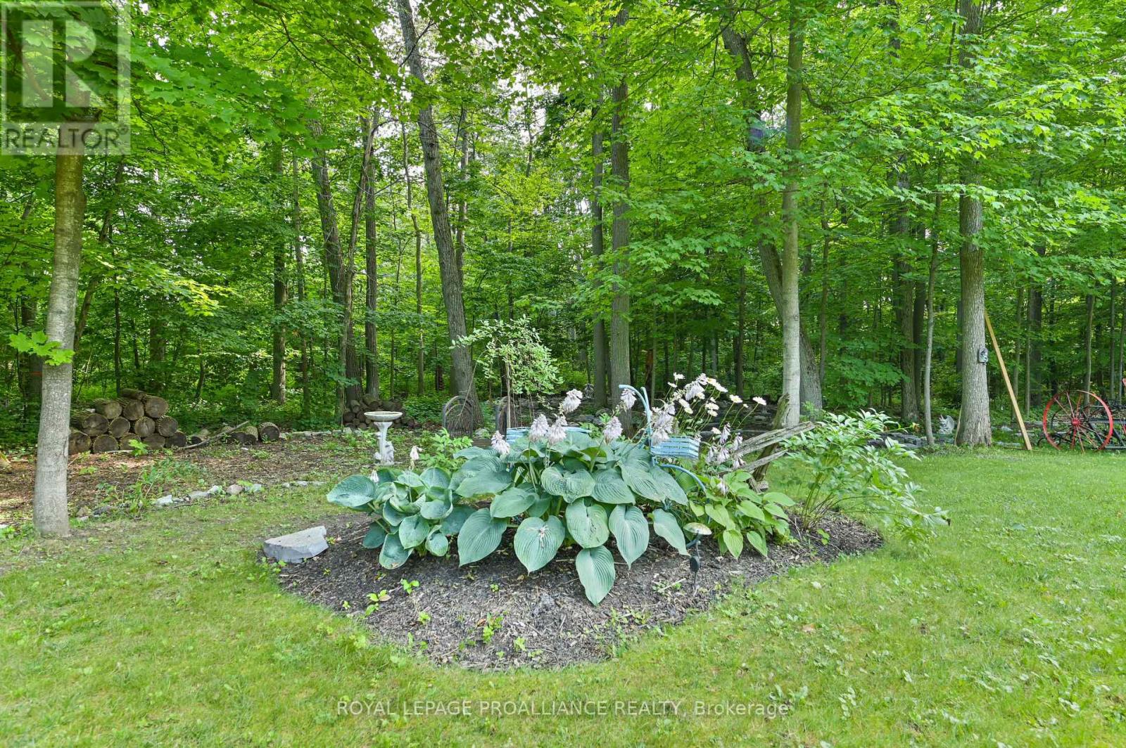 32 VICARI RD