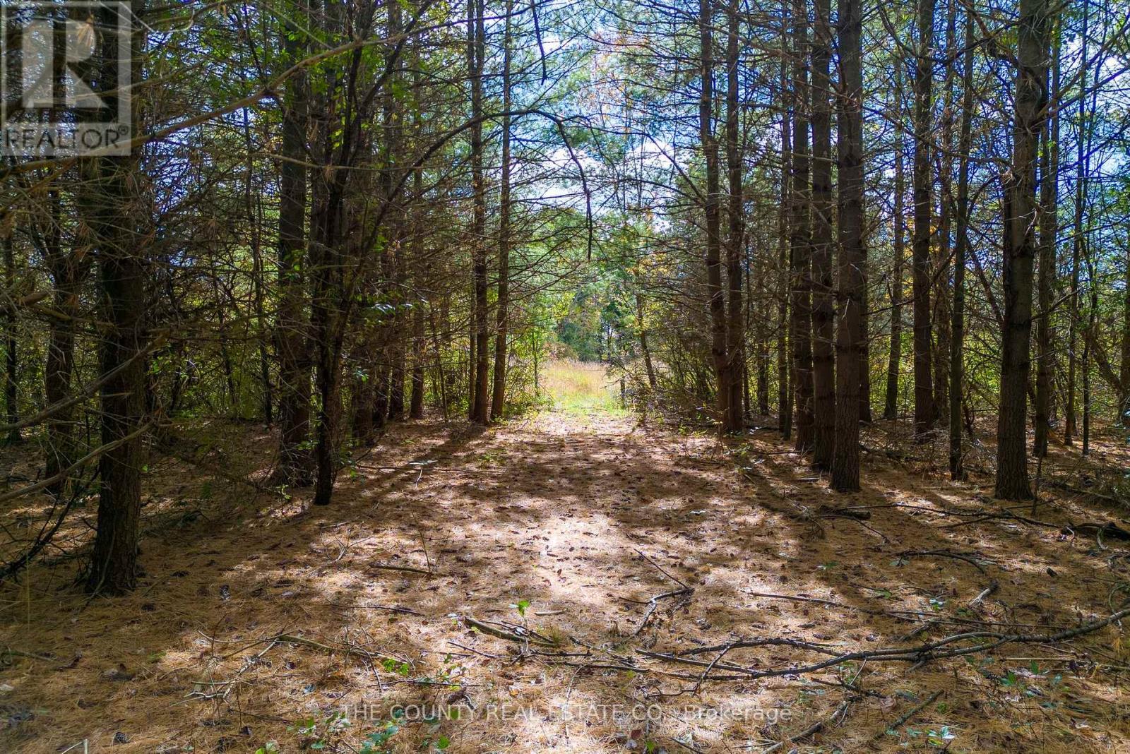 2561 COUNTY ROAD 10 RD