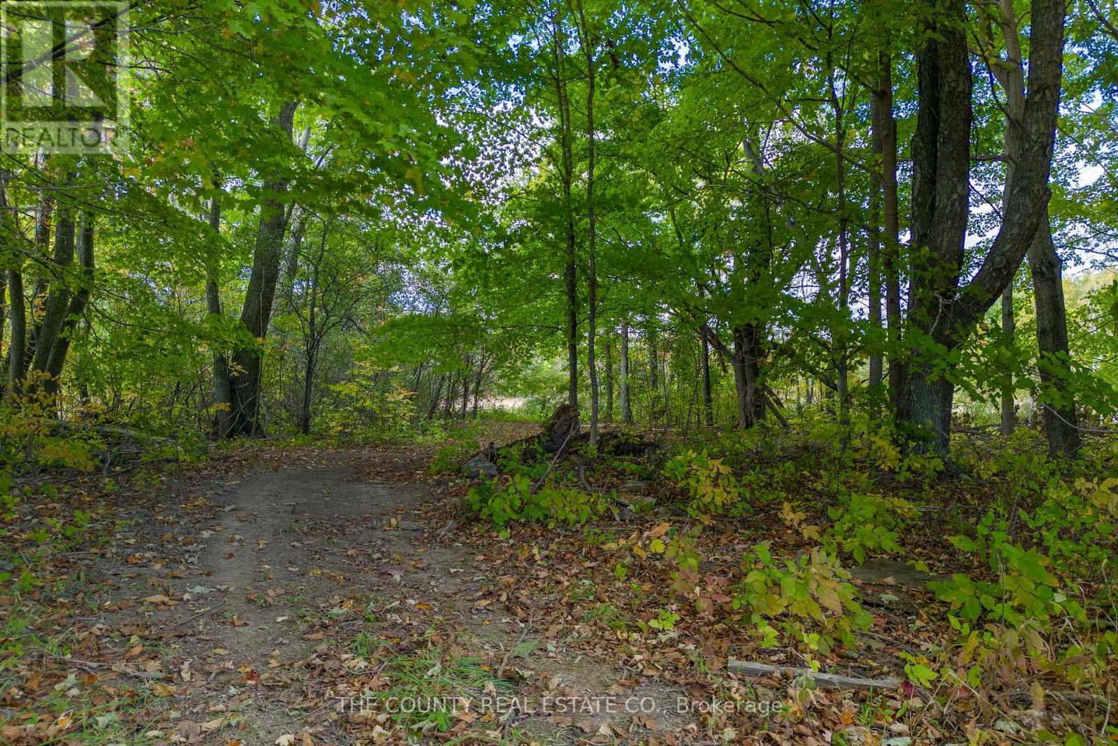 2561 COUNTY ROAD 10 RD