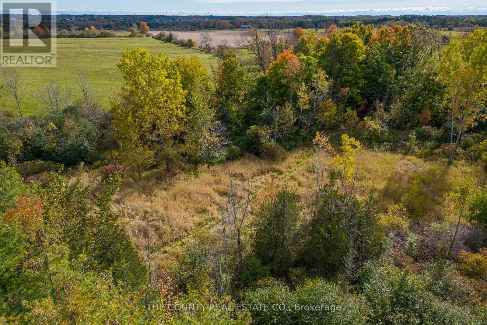 2561 COUNTY ROAD 10 RD