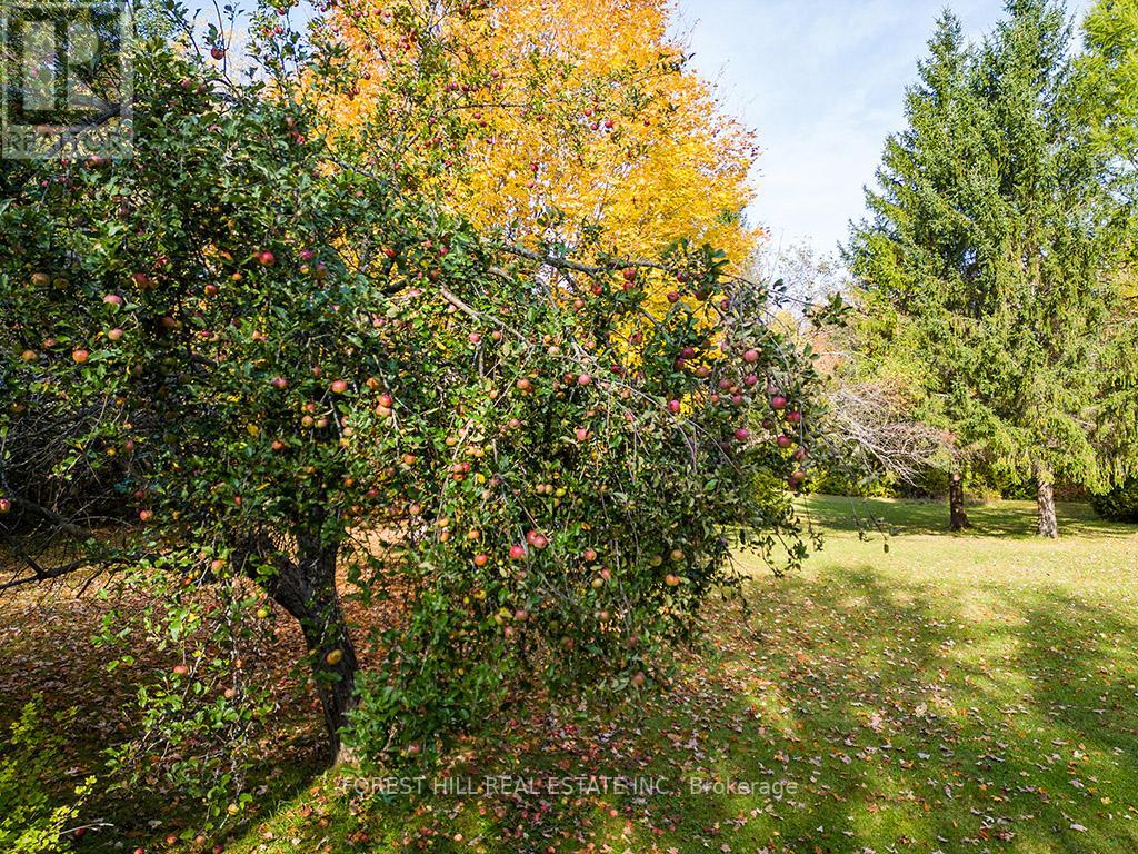 782817 SIDEROAD 3