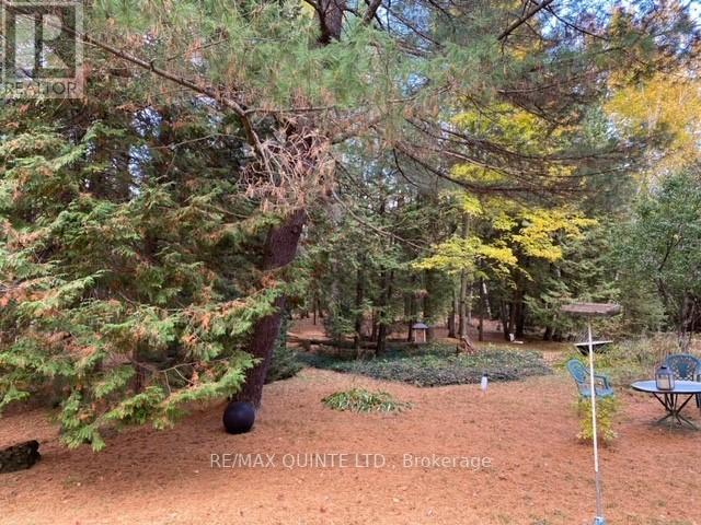 574 CEDAR SCHOOL RD