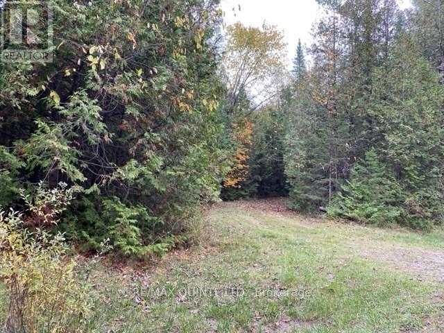 574 CEDAR SCHOOL RD