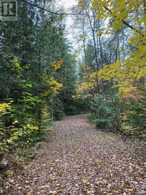 574 CEDAR SCHOOL RD
