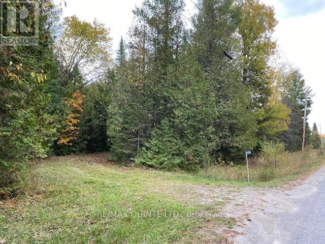 574 CEDAR SCHOOL RD