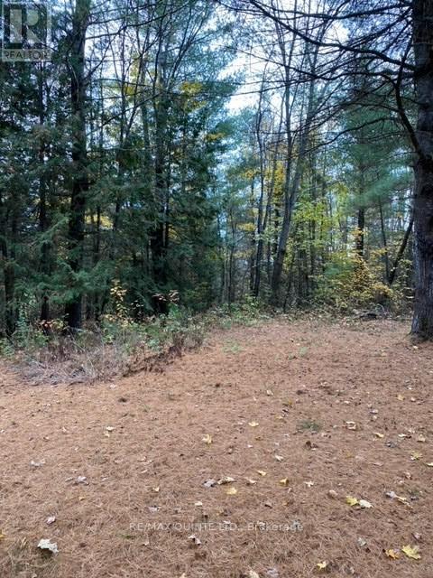 574 CEDAR SCHOOL RD