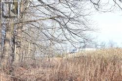 5285 TRAFALGAR RD