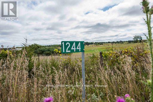 1244 COUNTY RD 7
