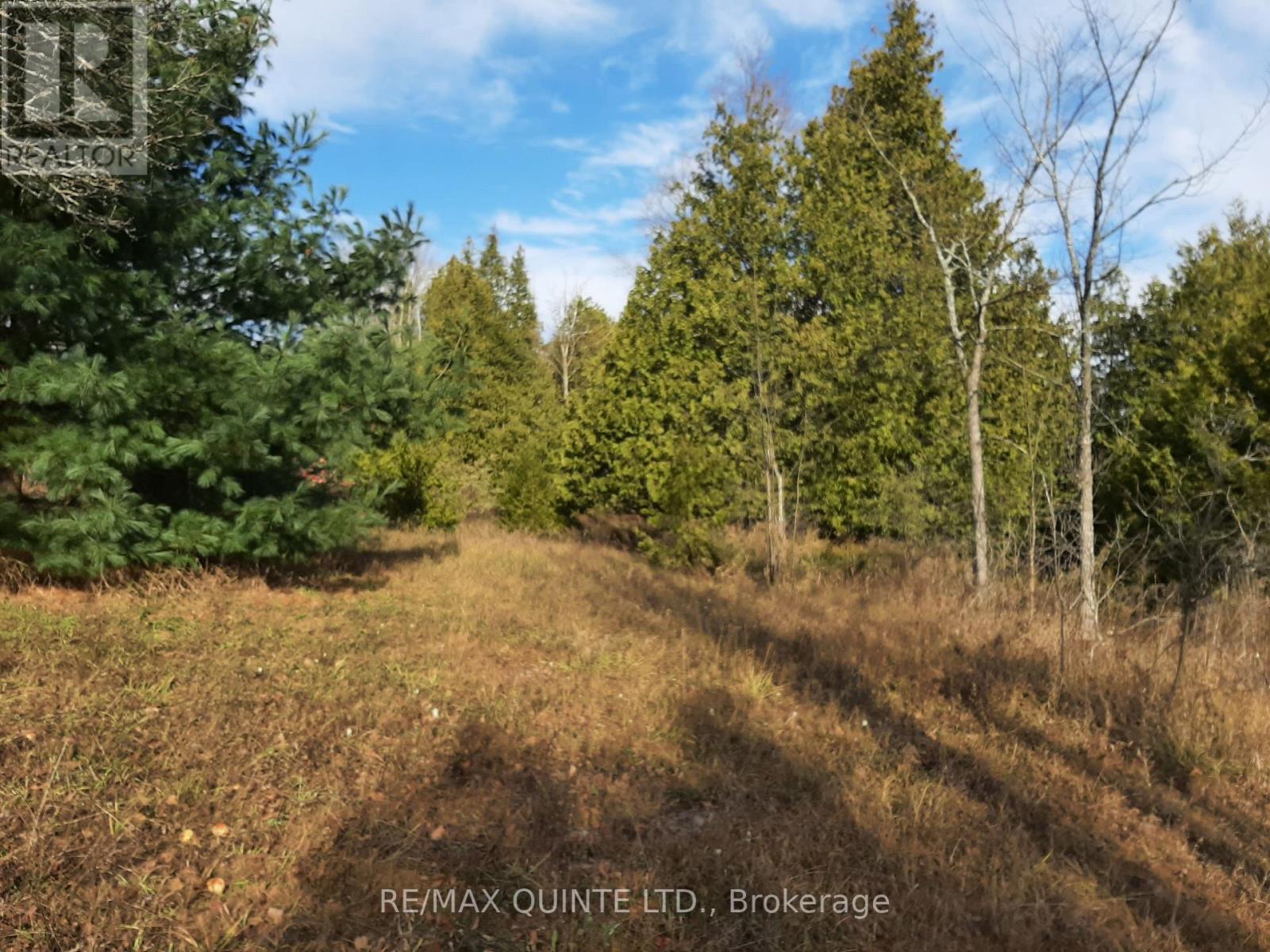 1532 O'HARA RD