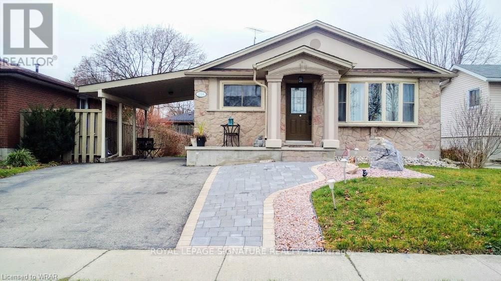 #MAIN -258 SHELLEY DR, #Main