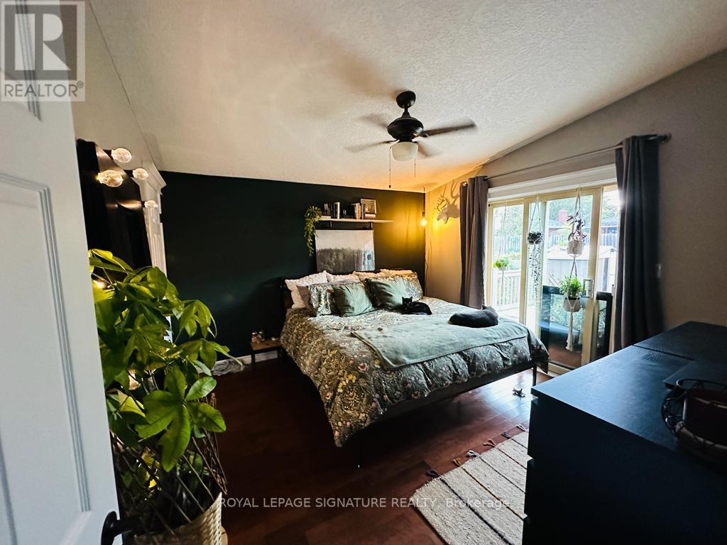 #MAIN -258 SHELLEY DR, #Main