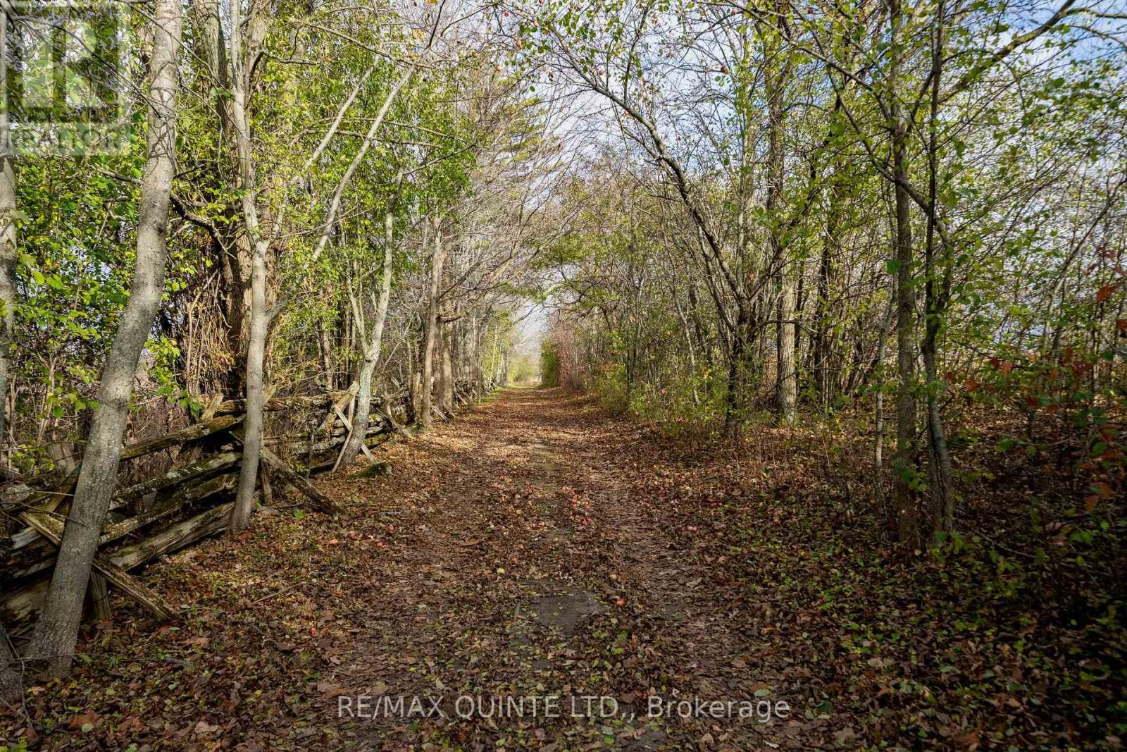381 PARTRIDGE HOLLOW RD