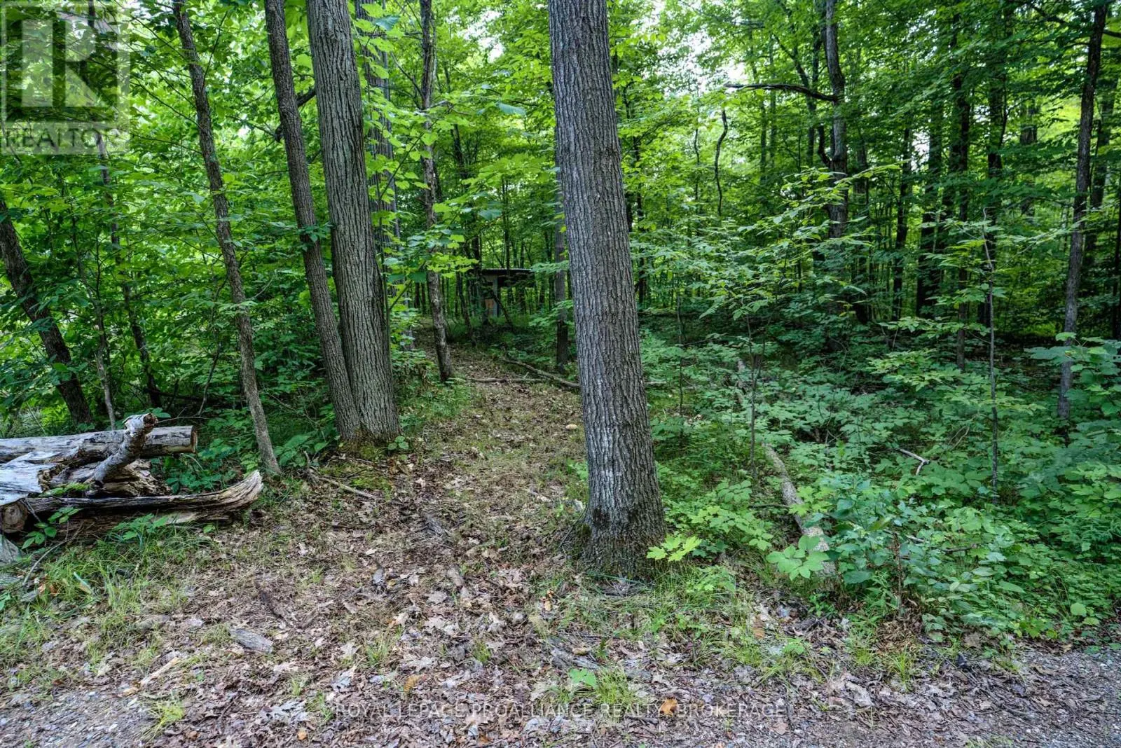 572 OAK BLUFFS ROAD