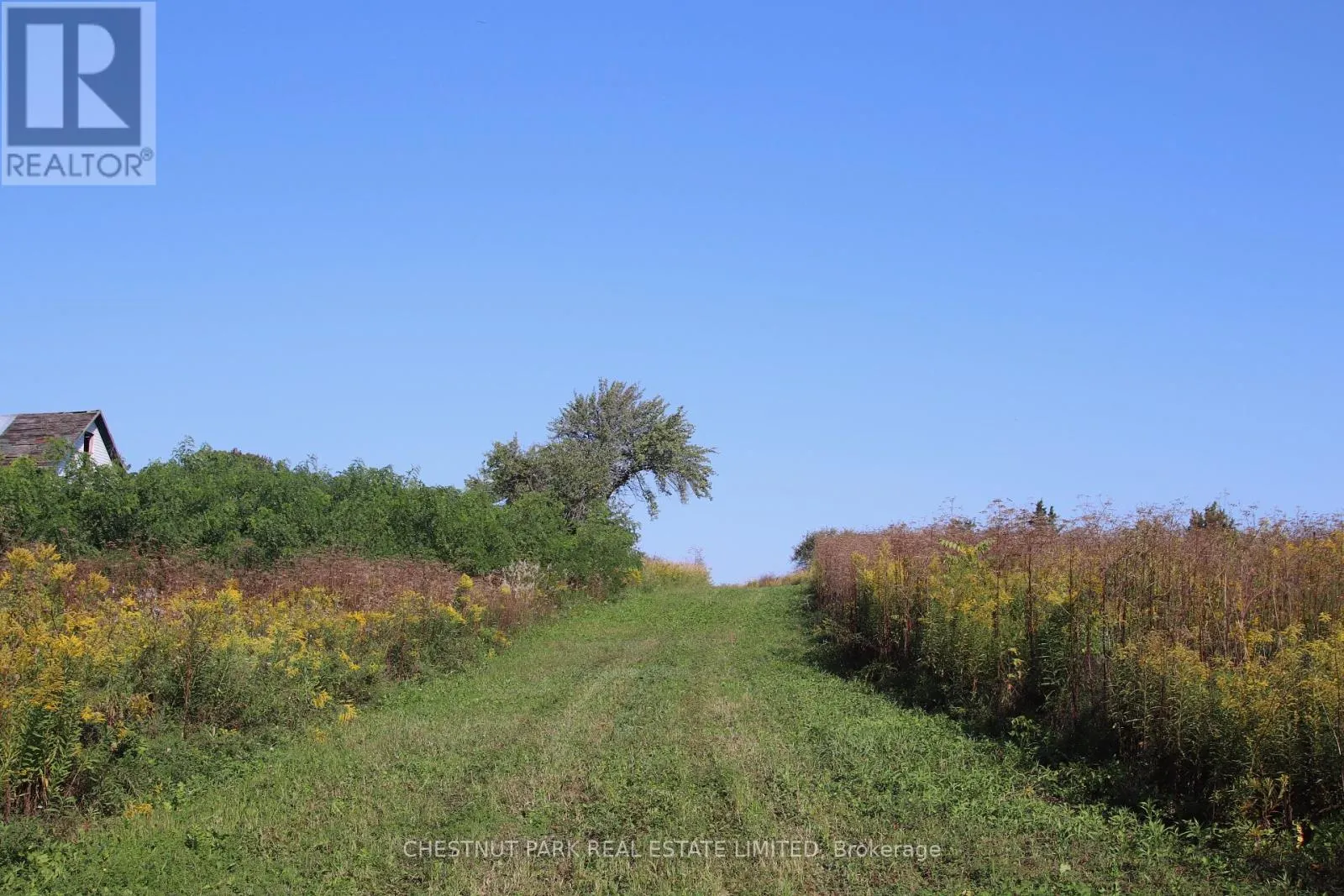 53 MACDONALD'S LANE
