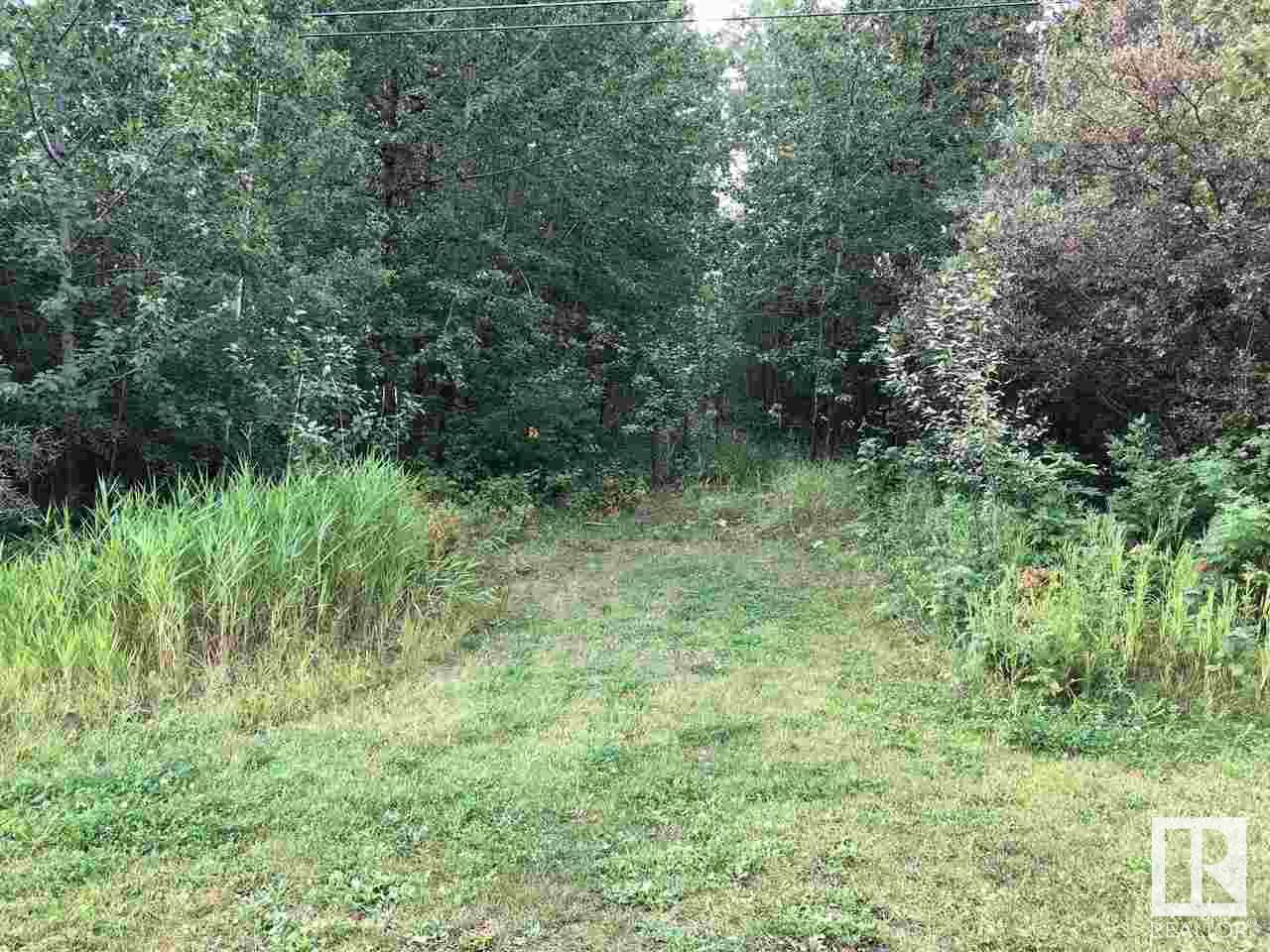 Listing E4295098 - Large Photo # 4