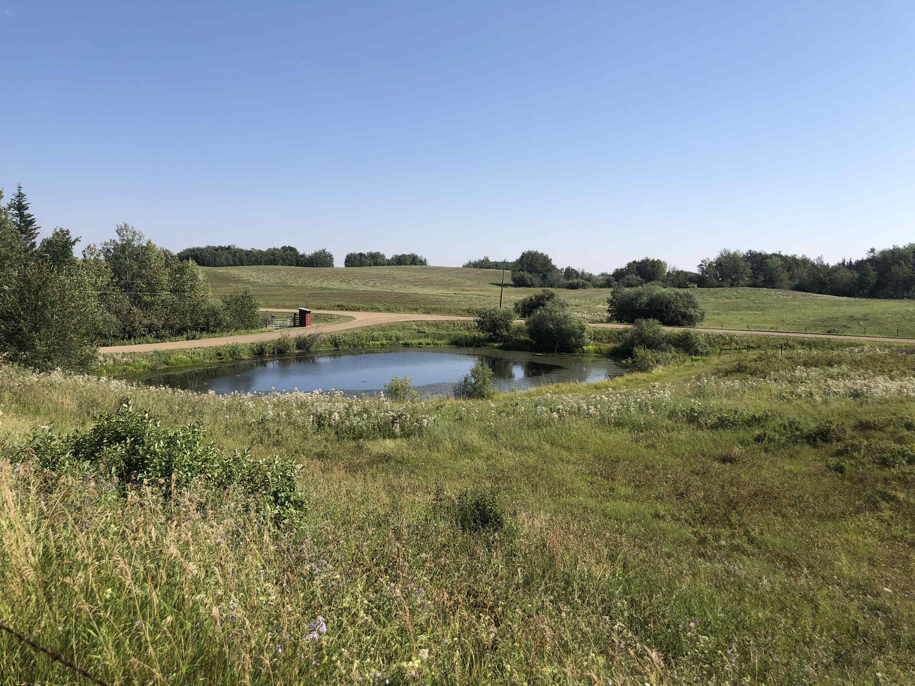 Listing E4310880 - Large Photo # 24