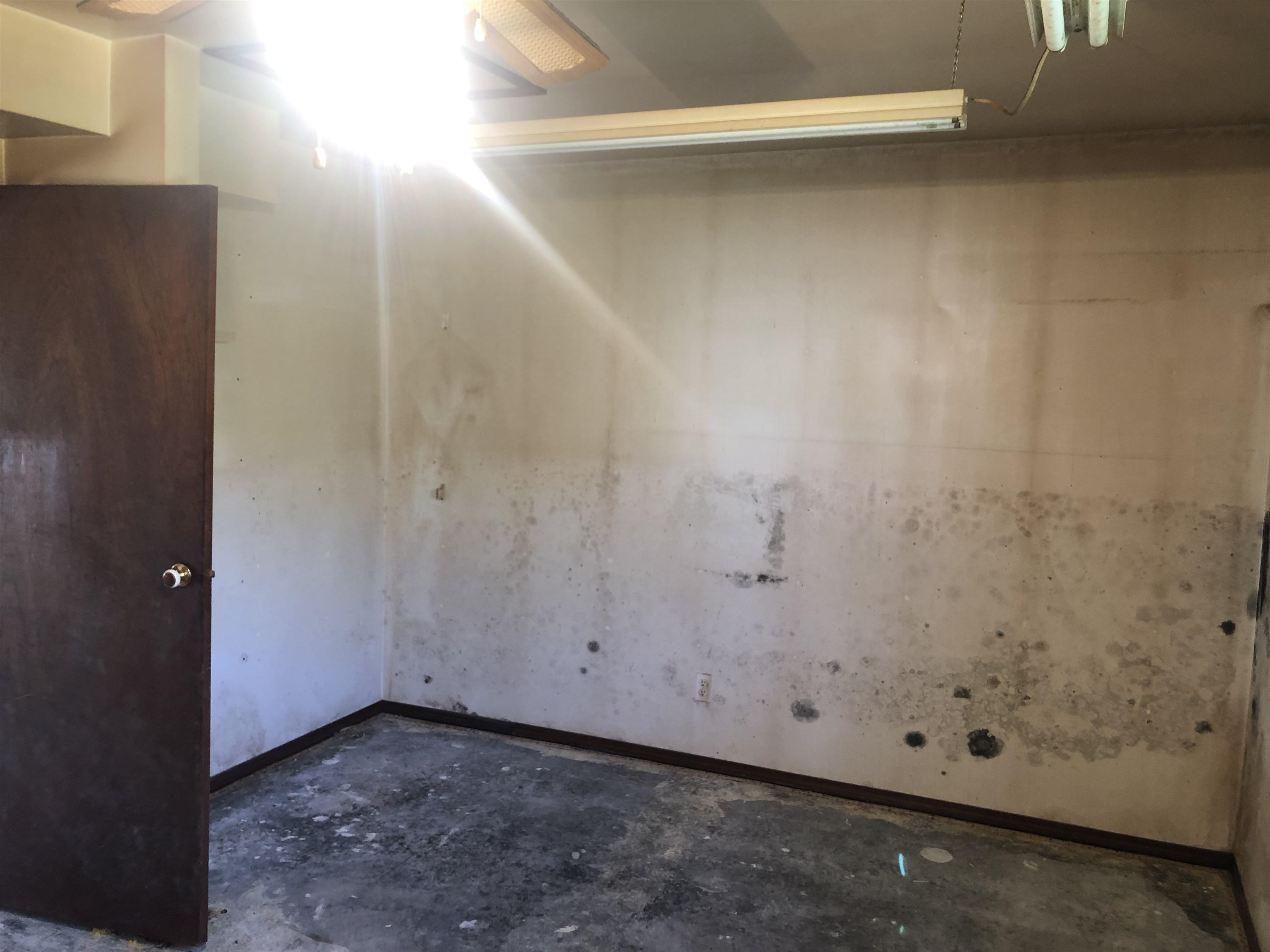 Listing E4310880 - Large Photo # 12
