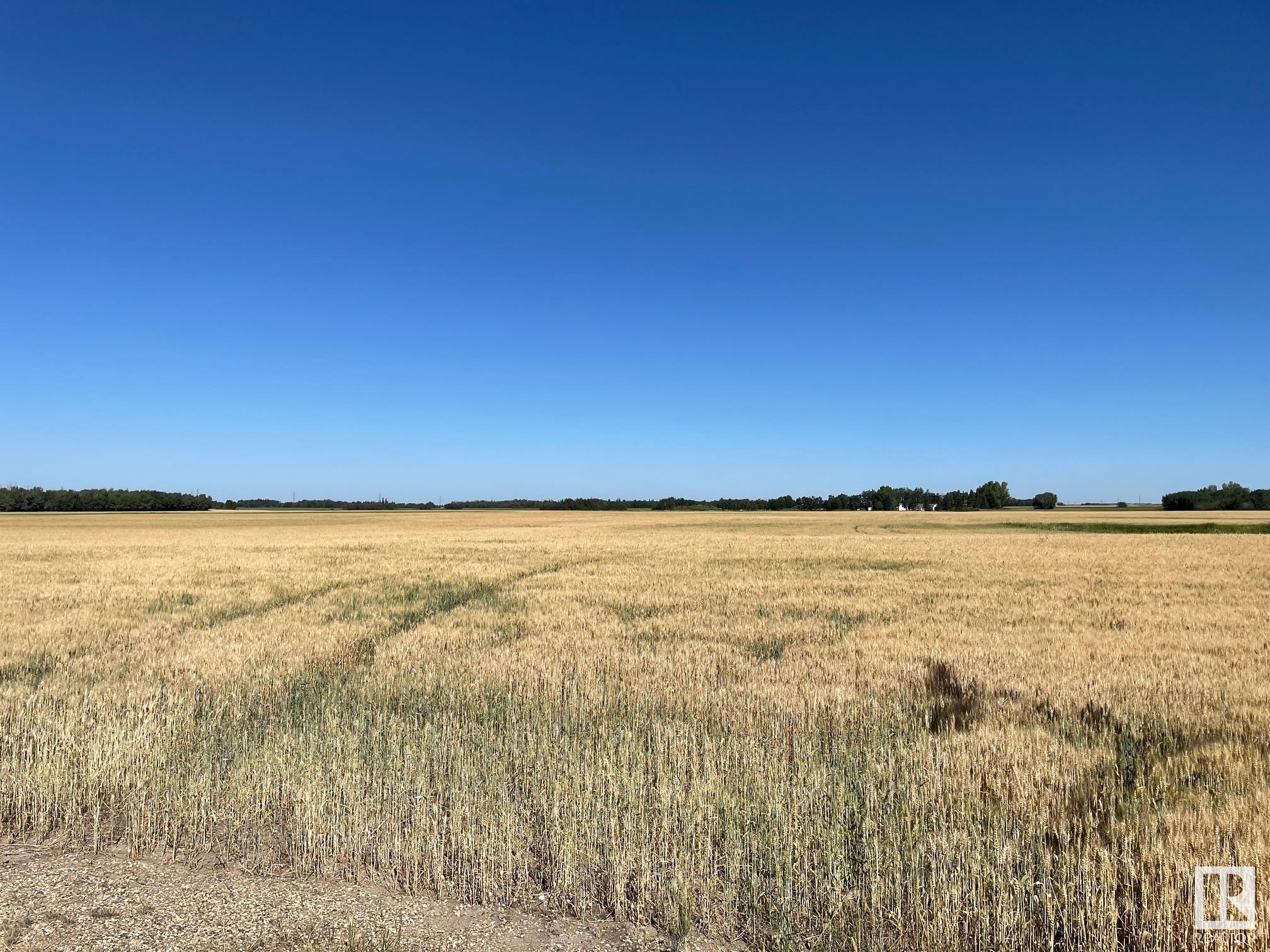 Listing E4311414 - Large Photo # 12
