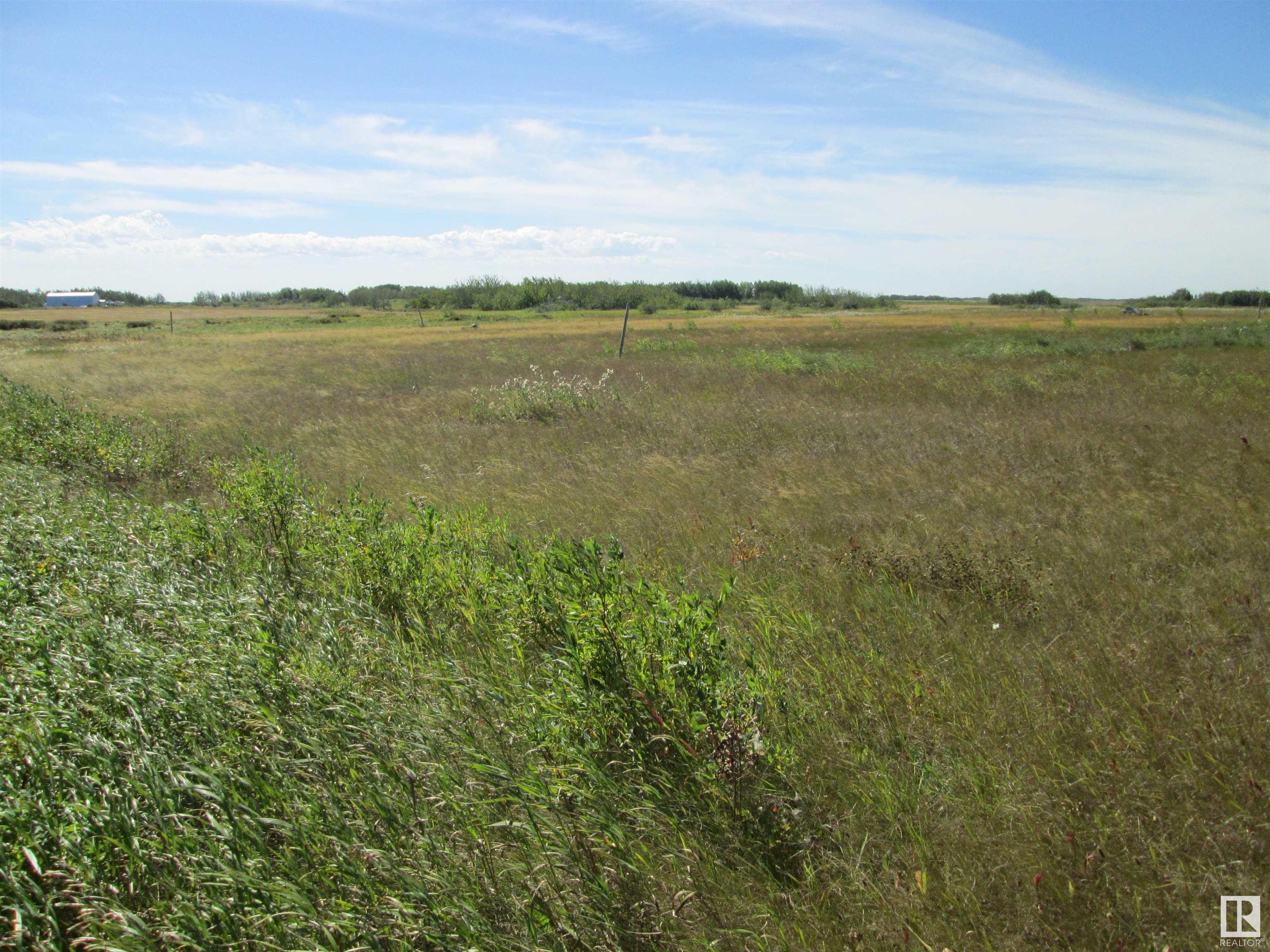 Listing E4312357 - Large Photo # 5