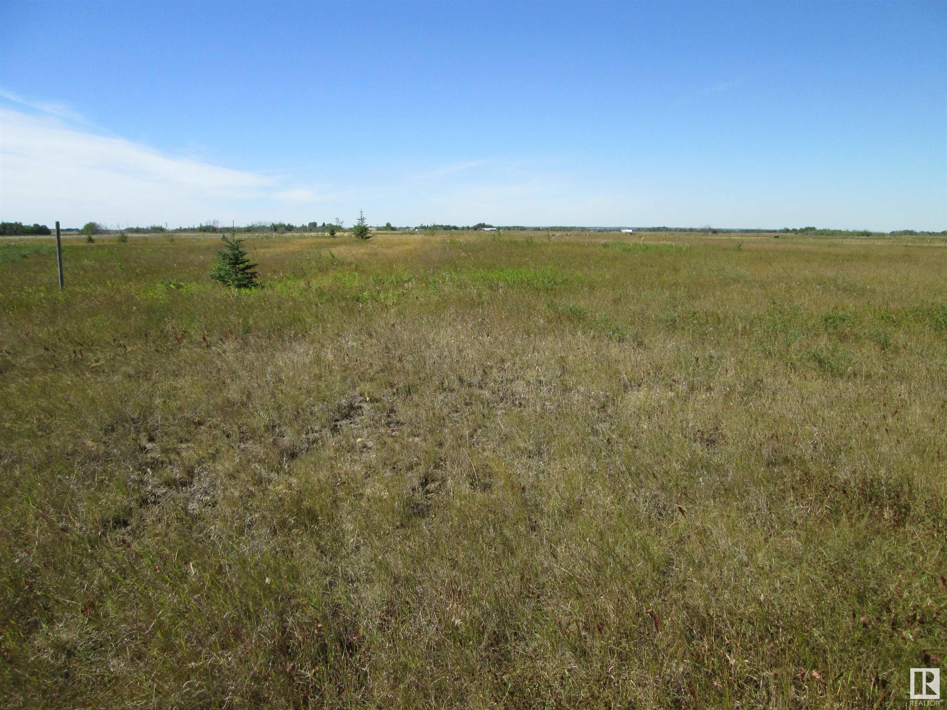Listing E4312357 - Large Photo # 4
