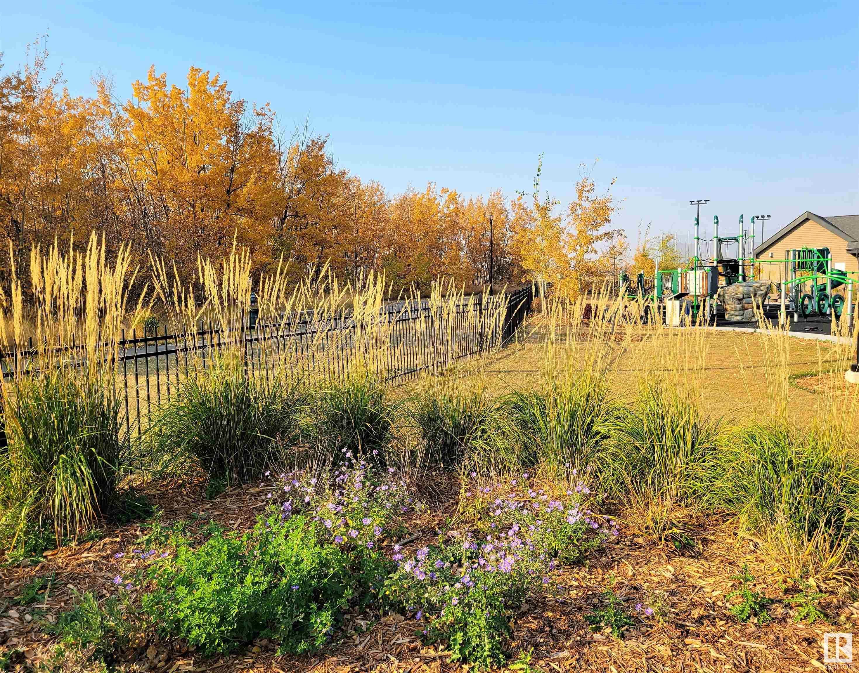 Listing E4321720 - Large Photo # 38