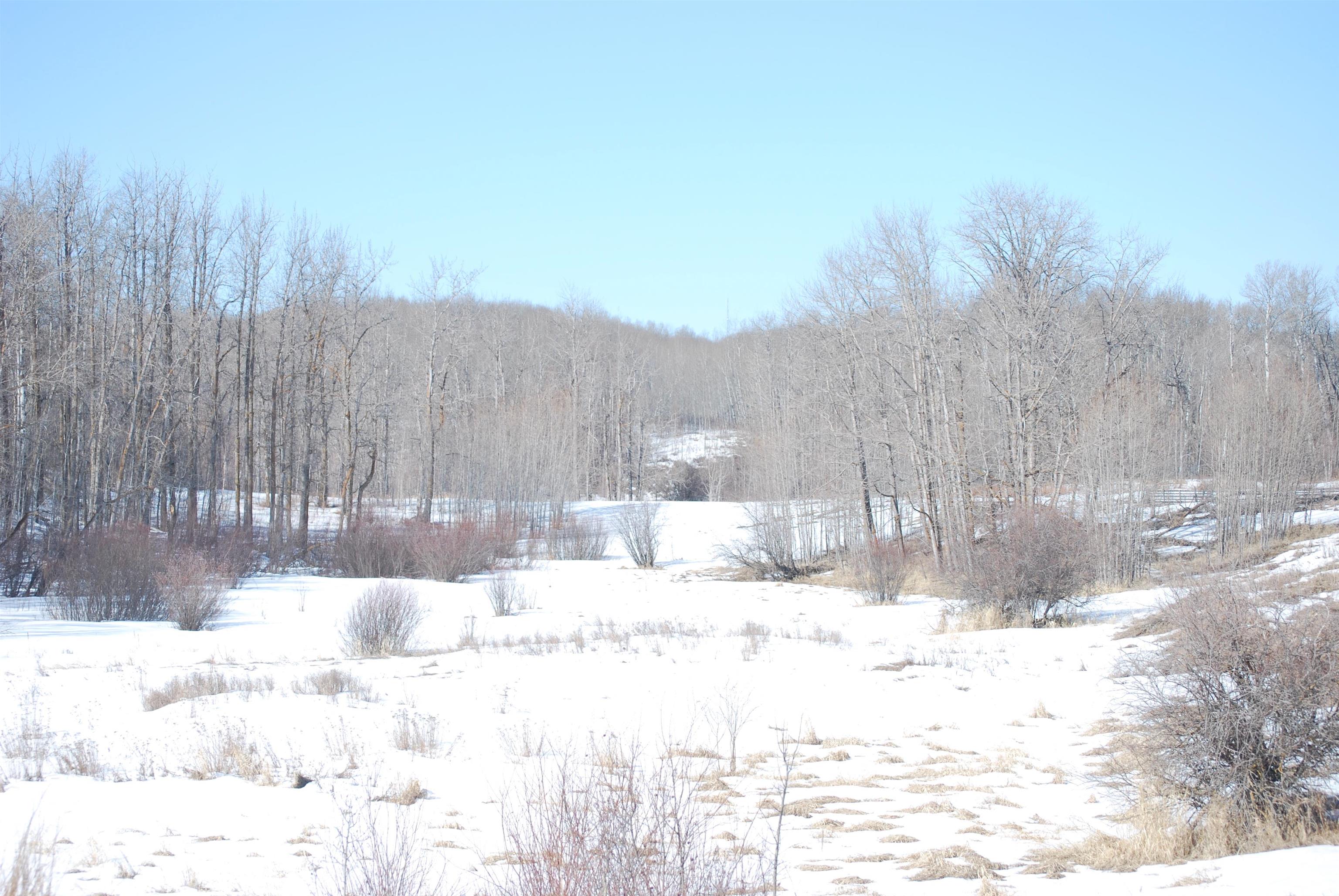 Listing E4323918 - Large Photo # 7