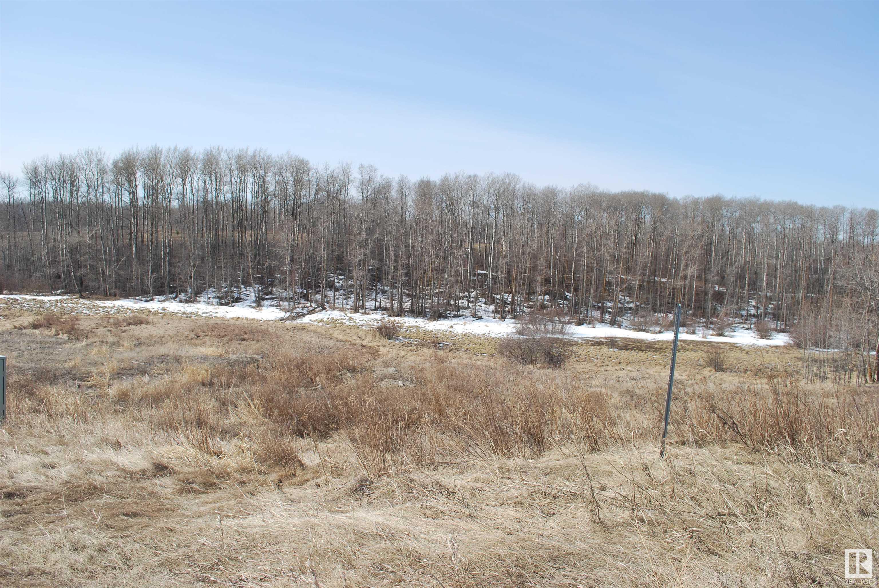 Listing E4325353 - Large Photo # 7
