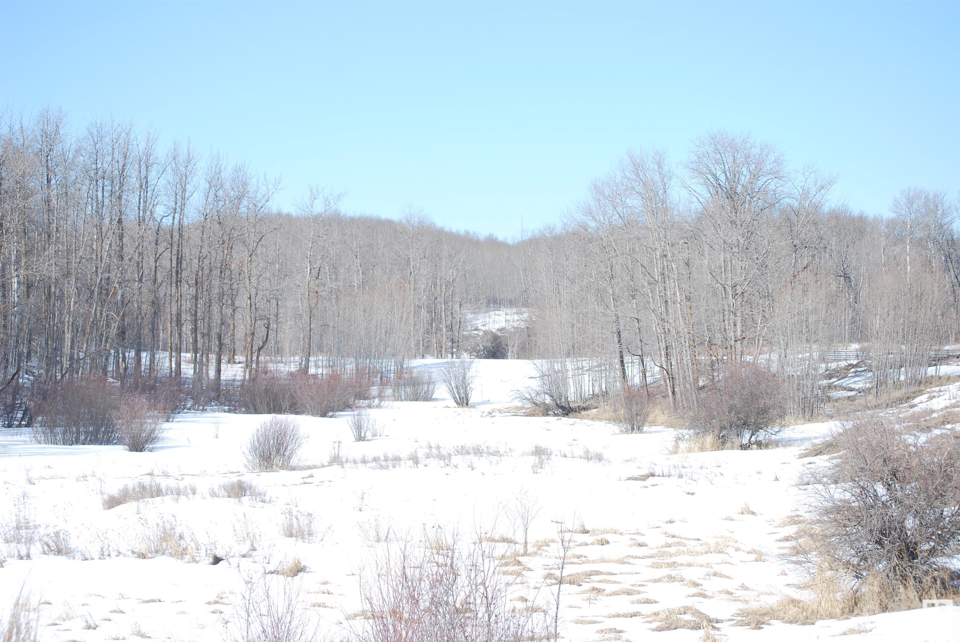 Listing E4325353 - Large Photo # 10