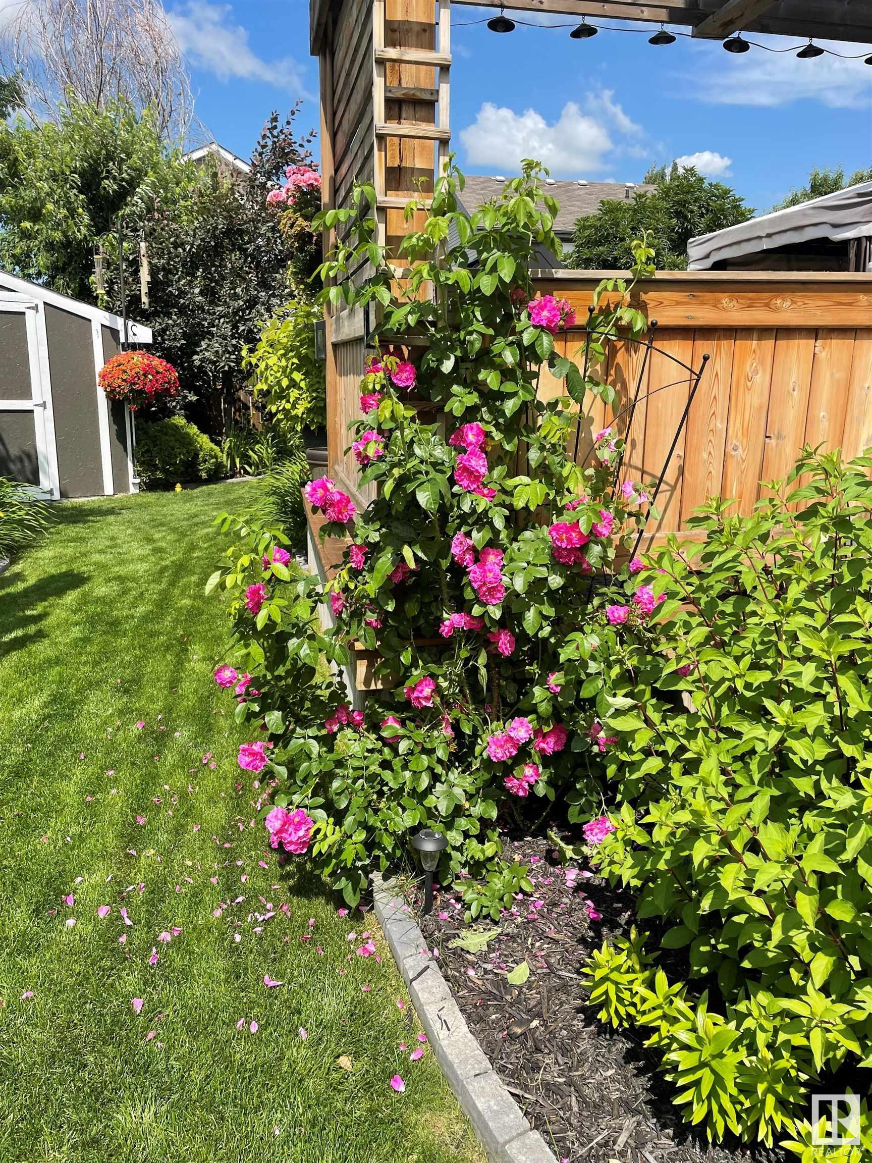 Listing E4337499 - Large Photo # 47