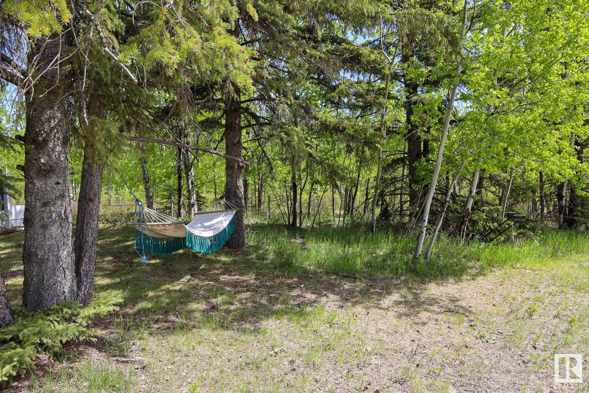 Listing E4339462 - Large Photo # 5