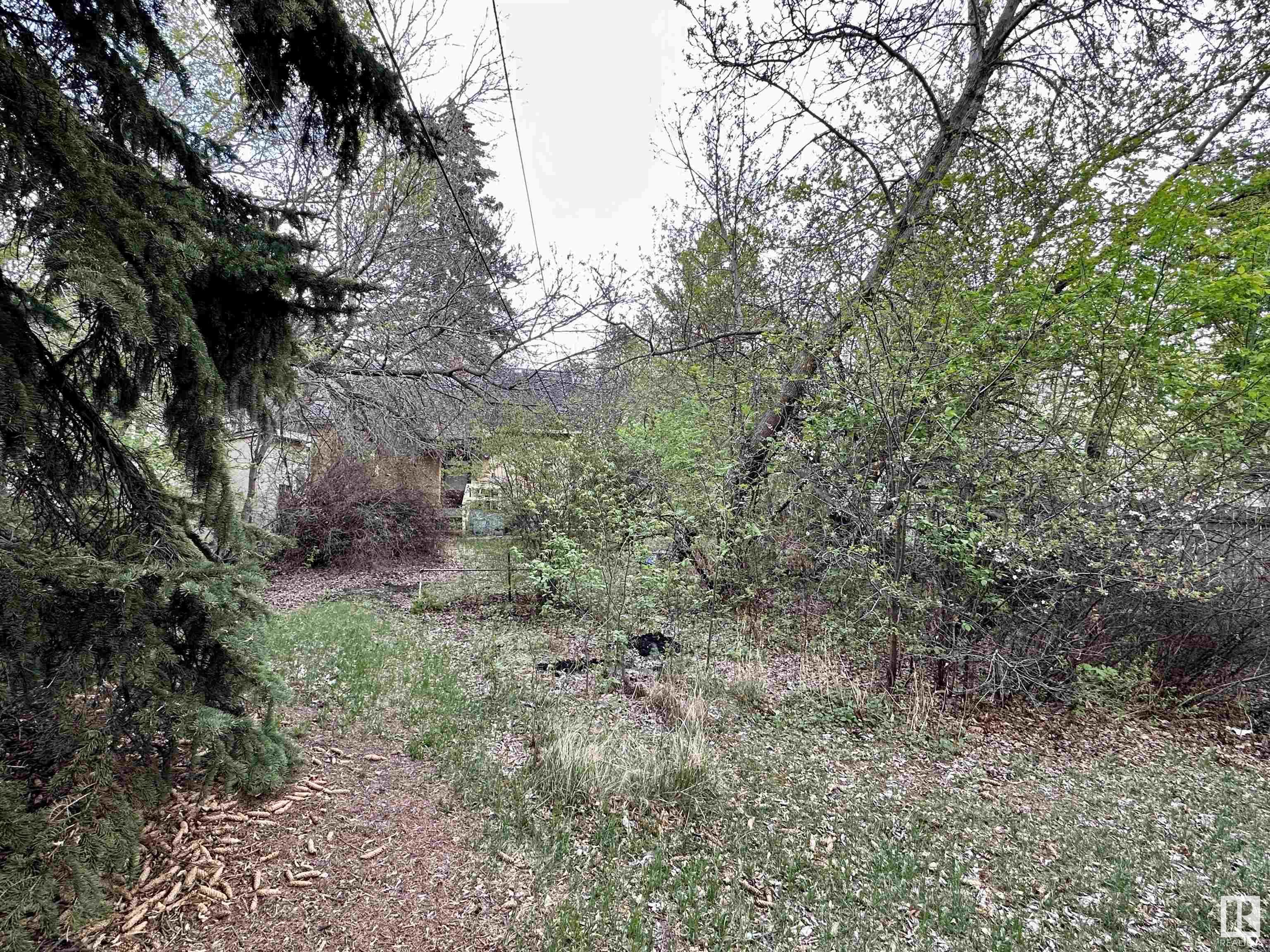 Listing E4339749 - Large Photo # 8