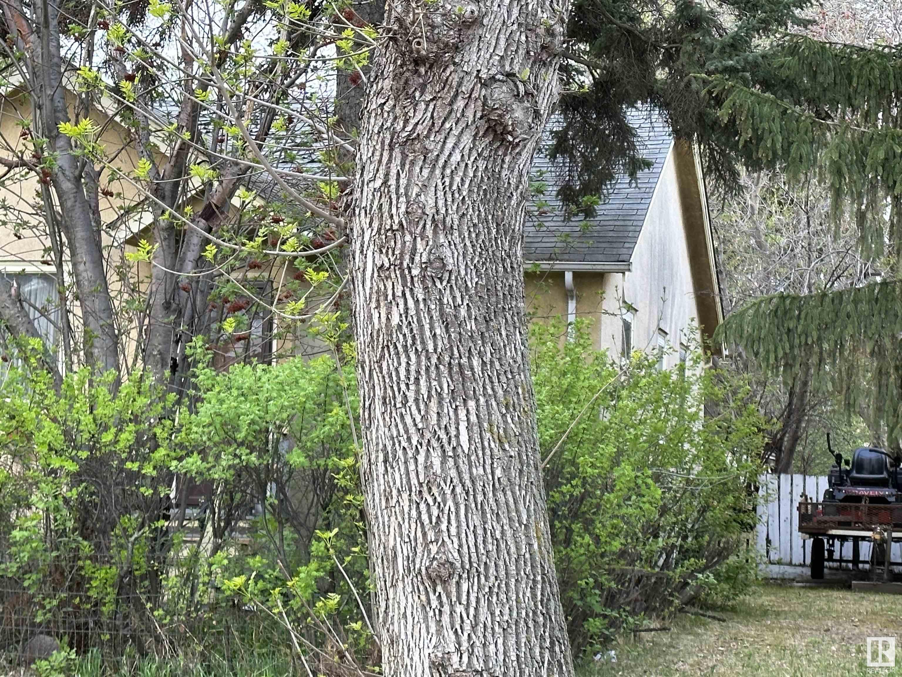 Listing E4339749 - Large Photo # 14