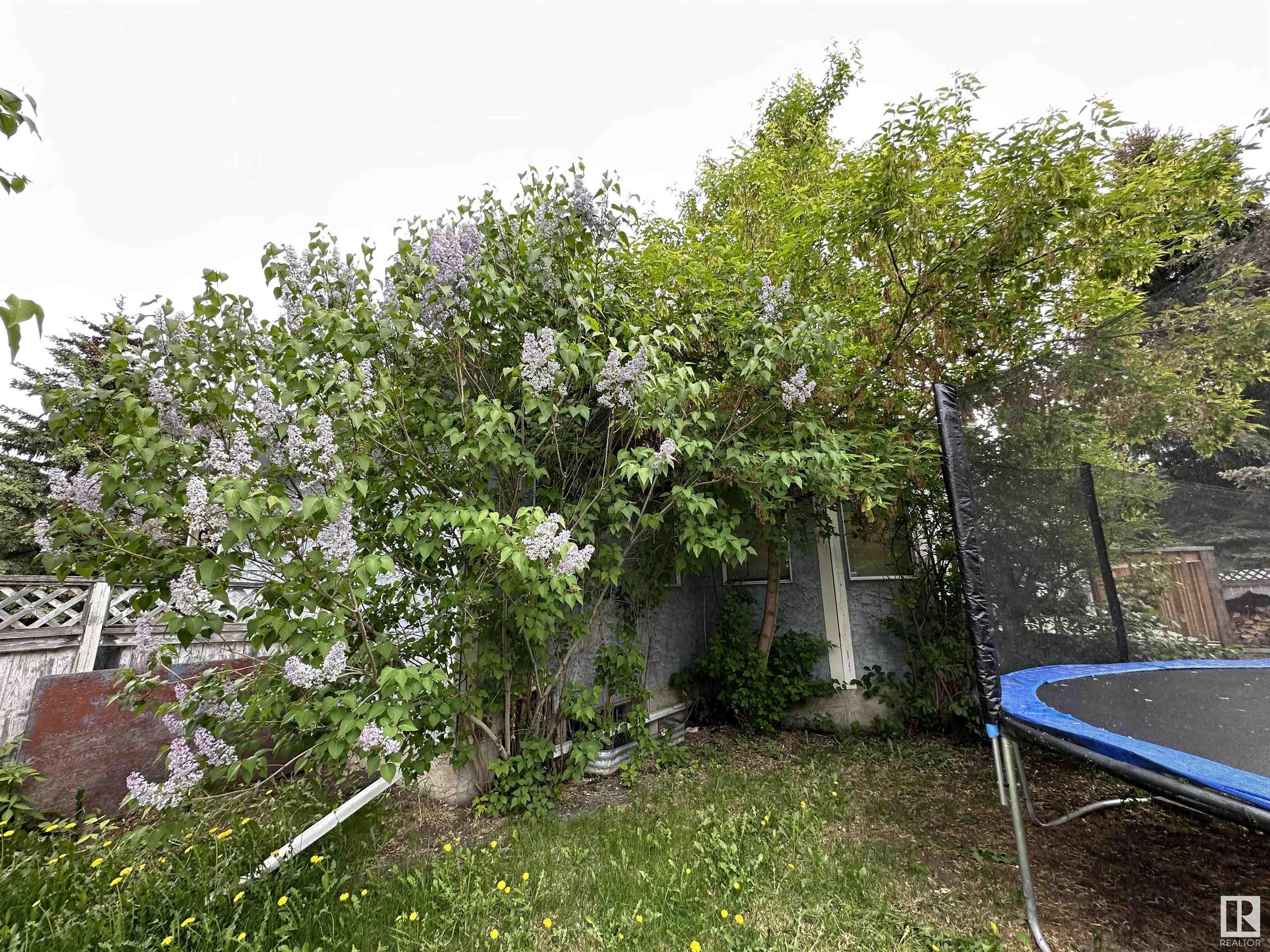Listing E4342544 - Large Photo # 33