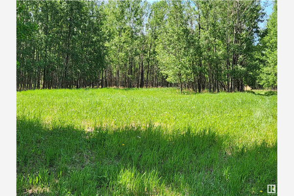 Lot 20 Buck Lake Estates, Rural Wetaskiwin County