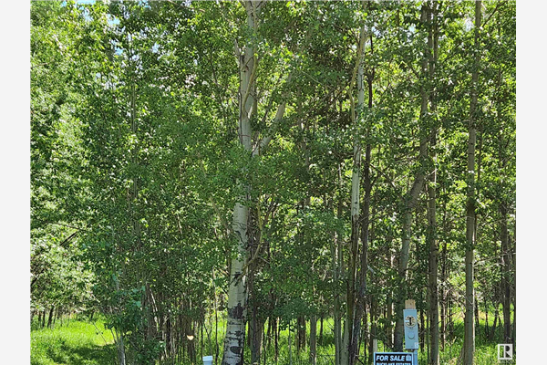 Lot 21 Buck Lake Estates, Rural Wetaskiwin County