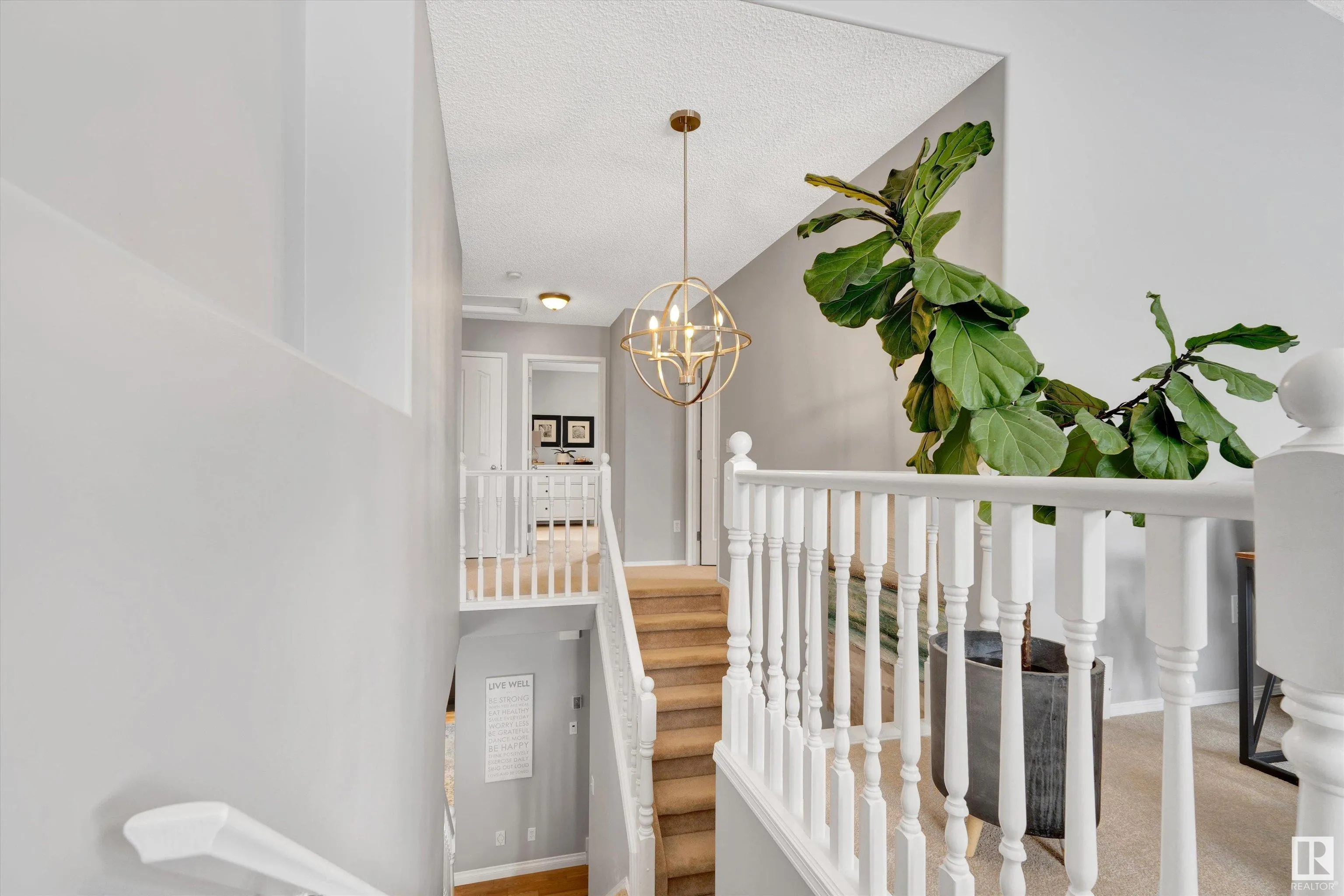 38 FOXBORO Grove