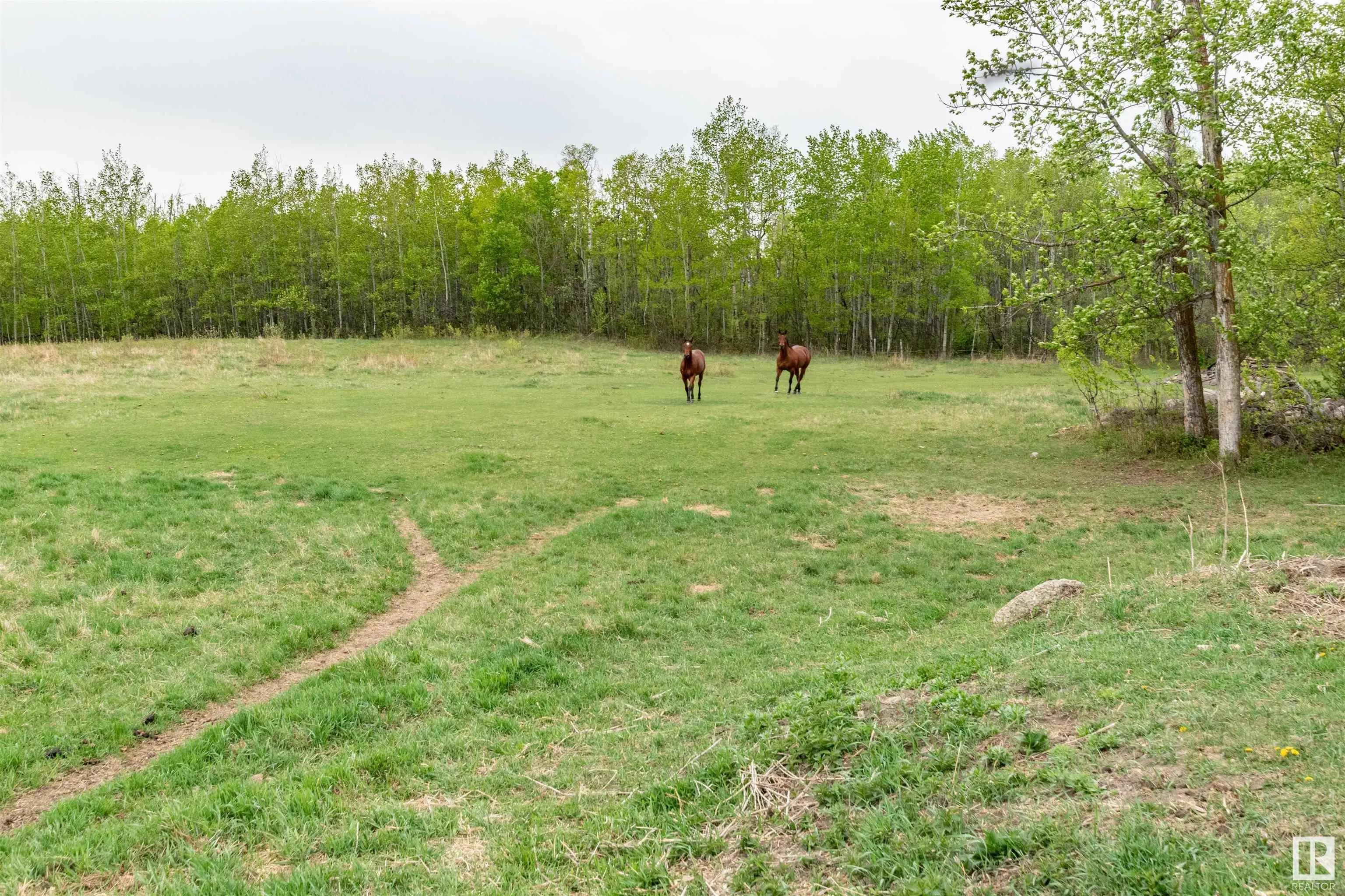 51331 RGE ROAD 224