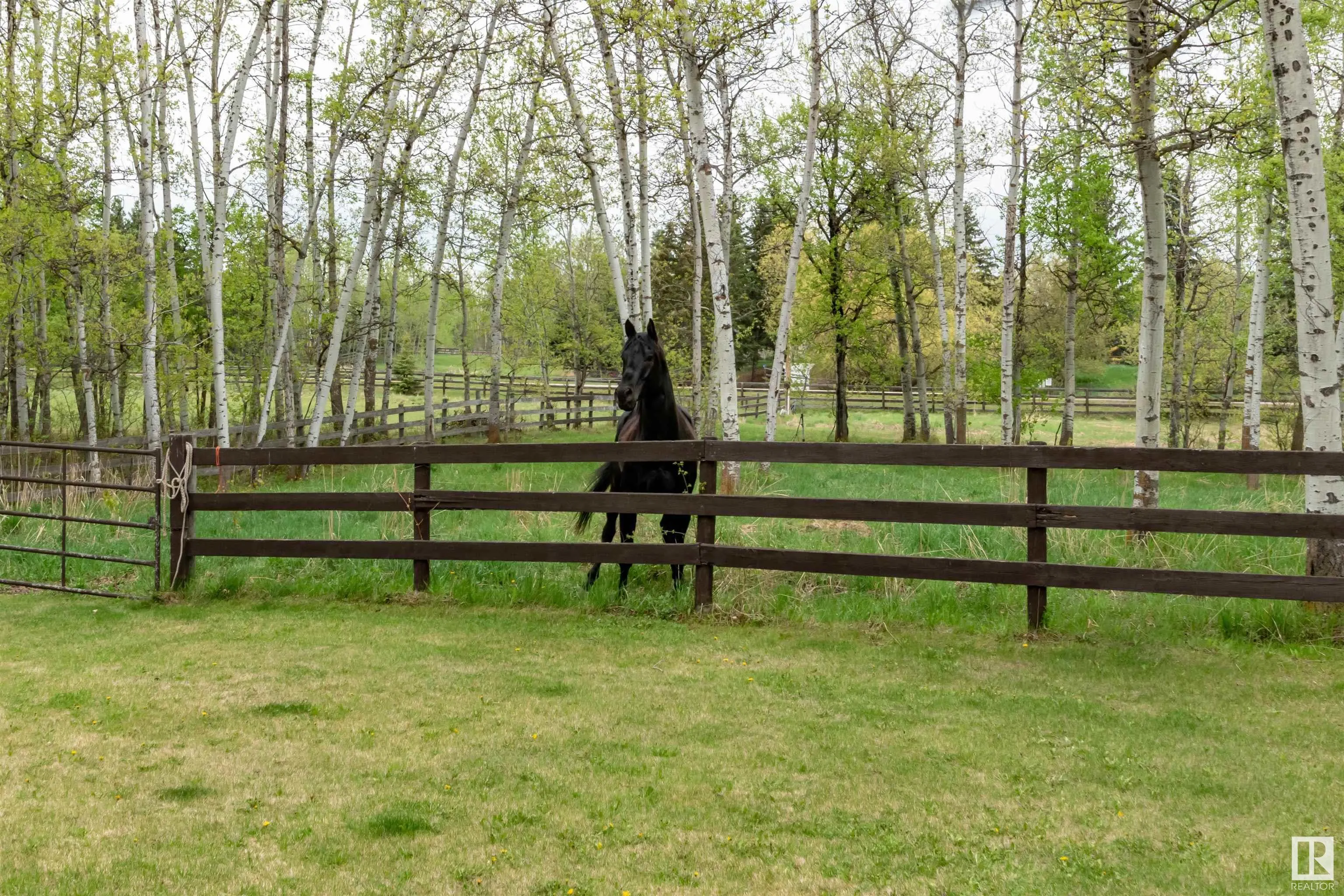 51331 RGE ROAD 224