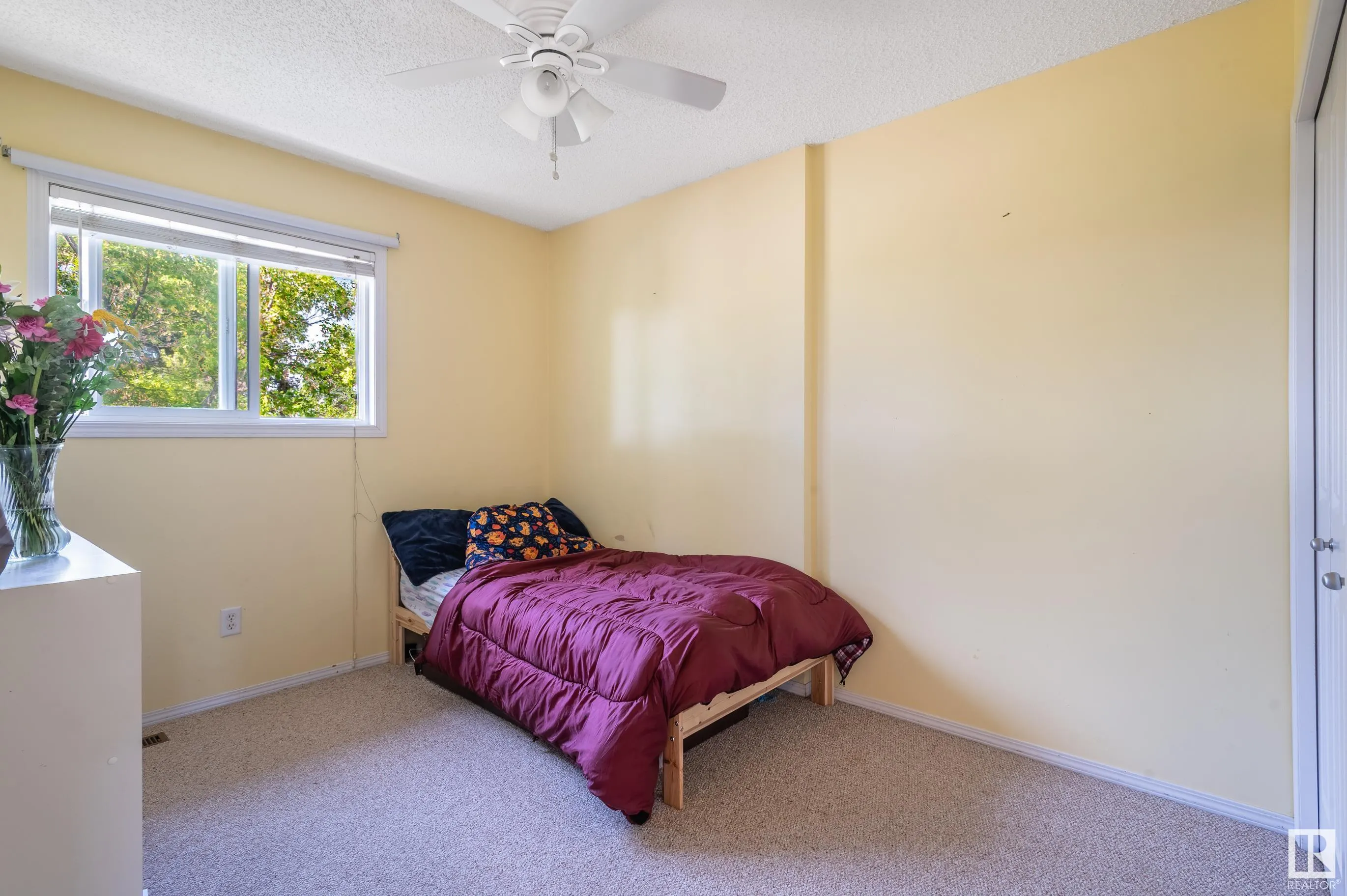 67C Mission Avenue