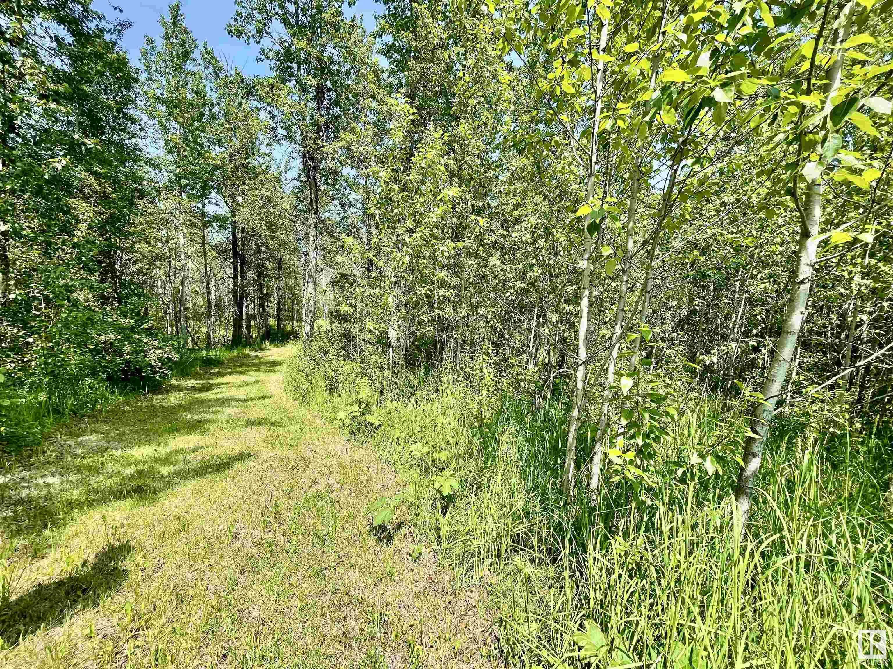 453041 HWY 771