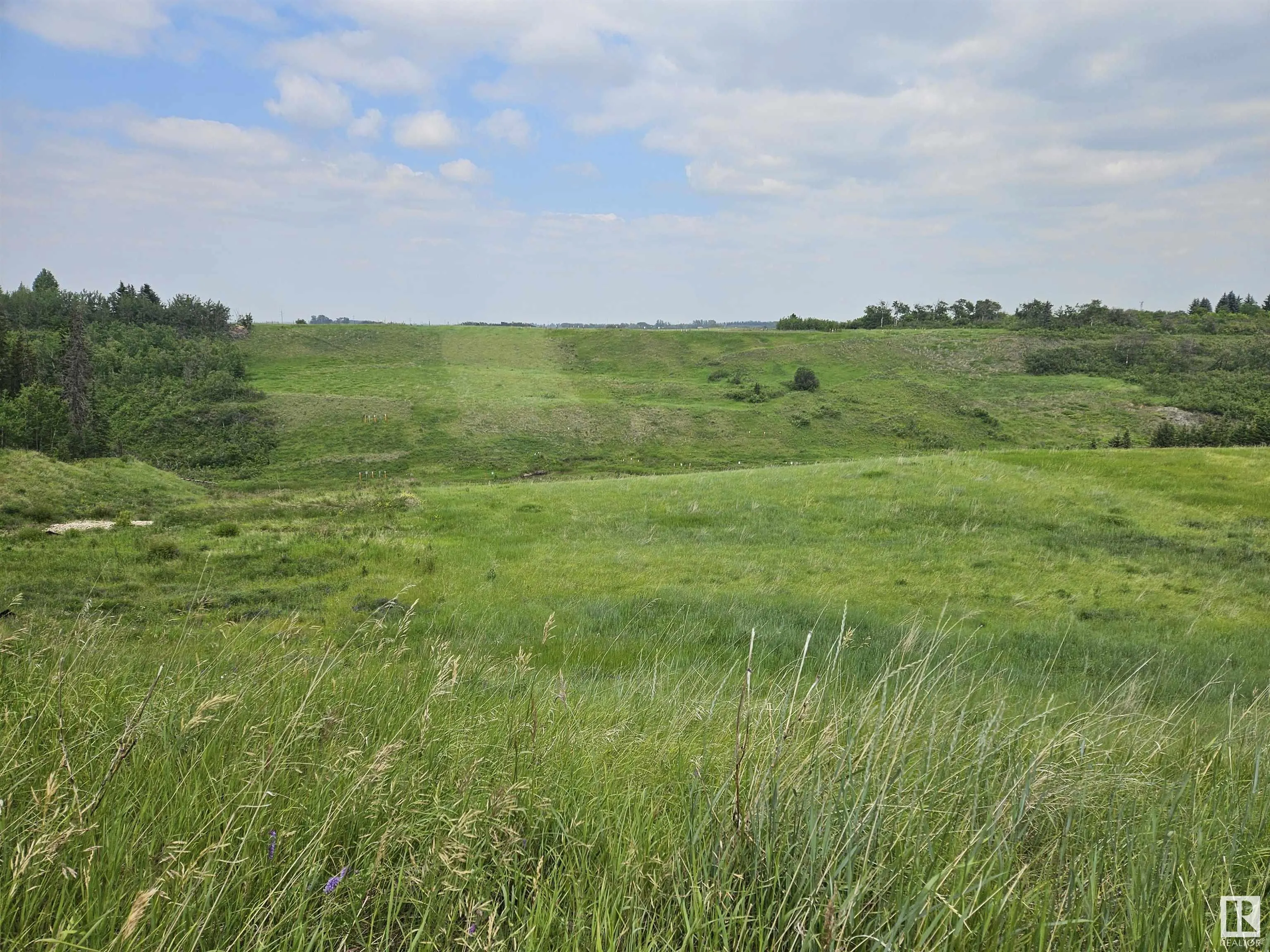 TWP 534 RR232