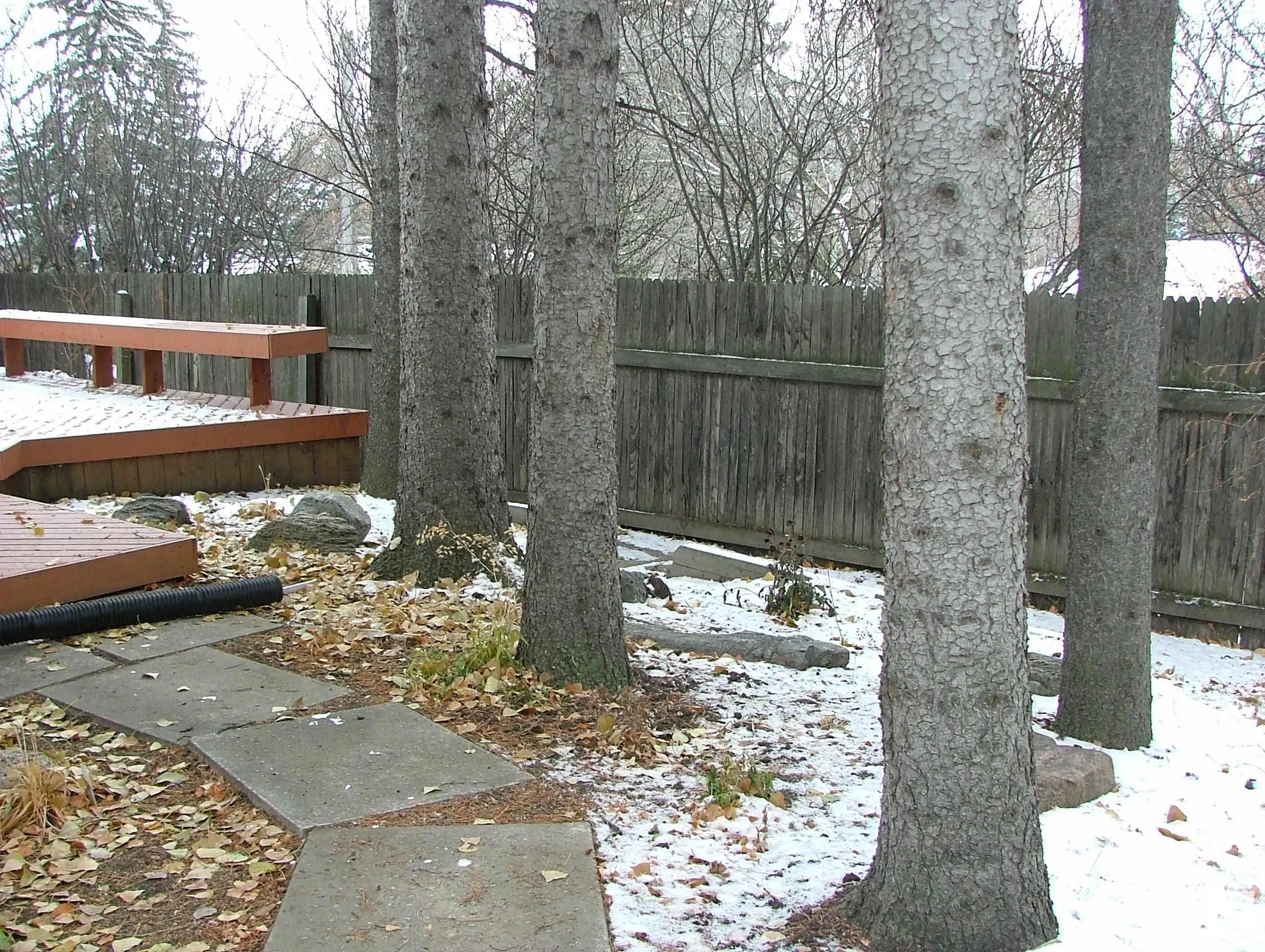 8 Grenfell Avenue