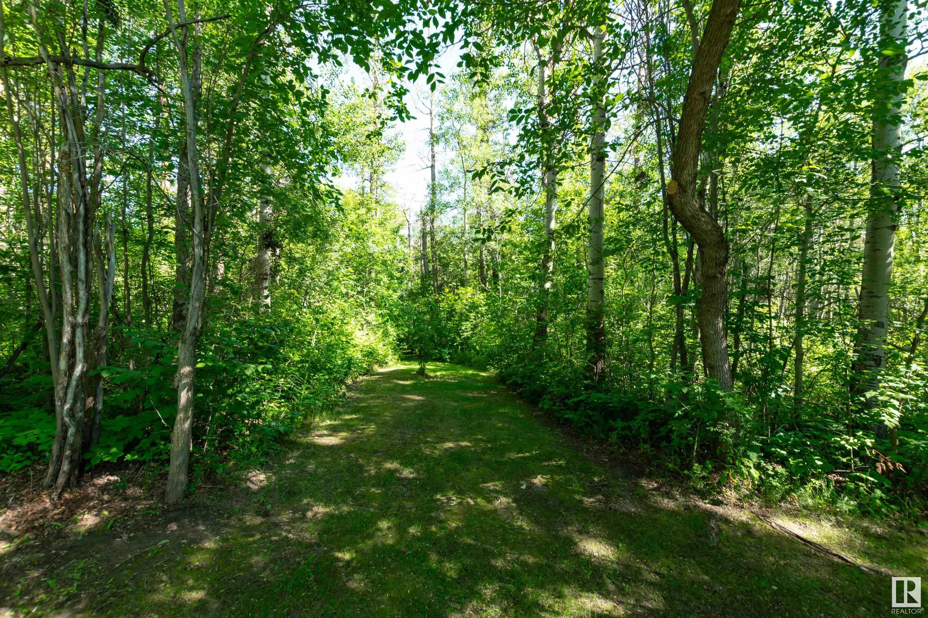 22559 WYE Road