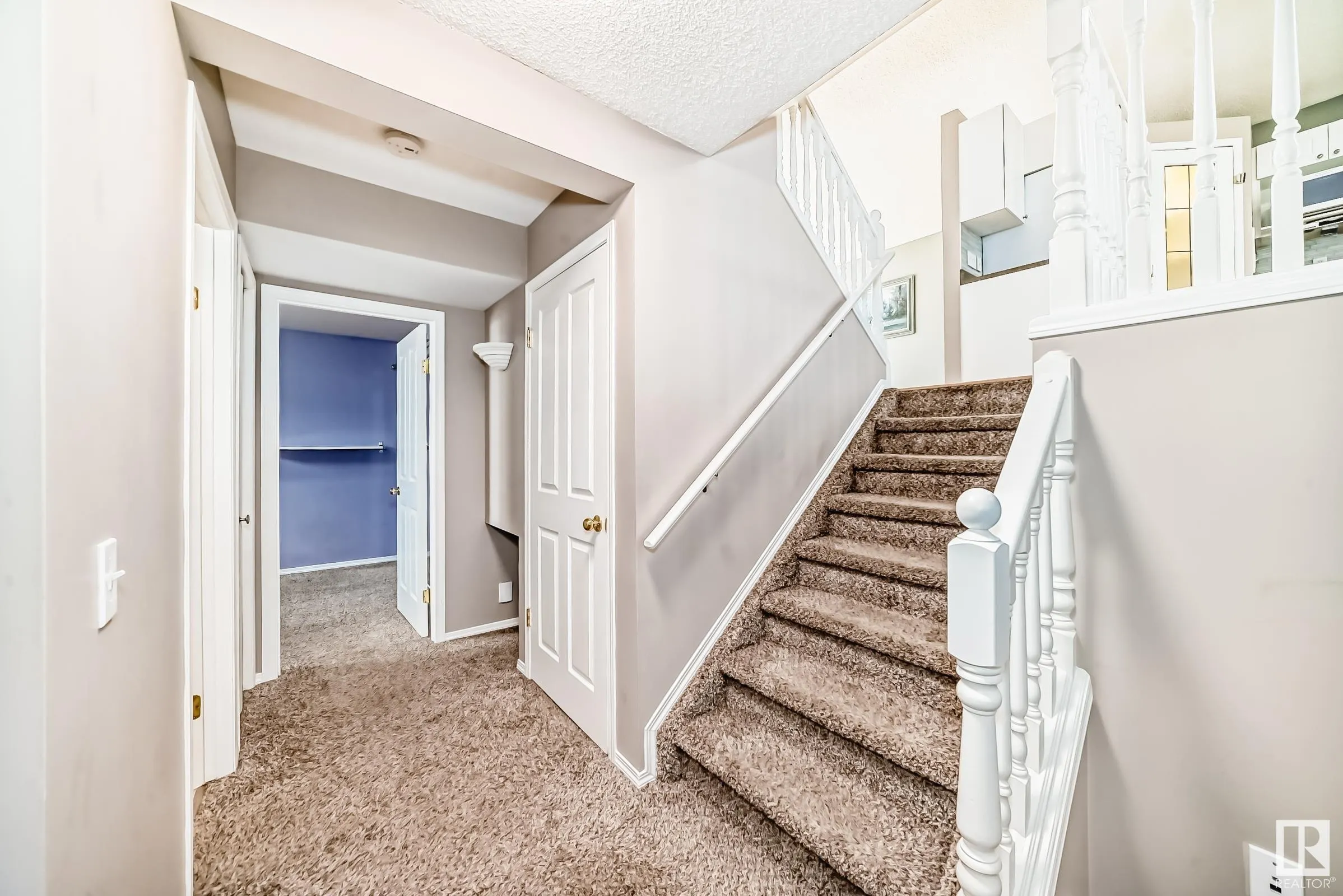 4 HOLLY Place