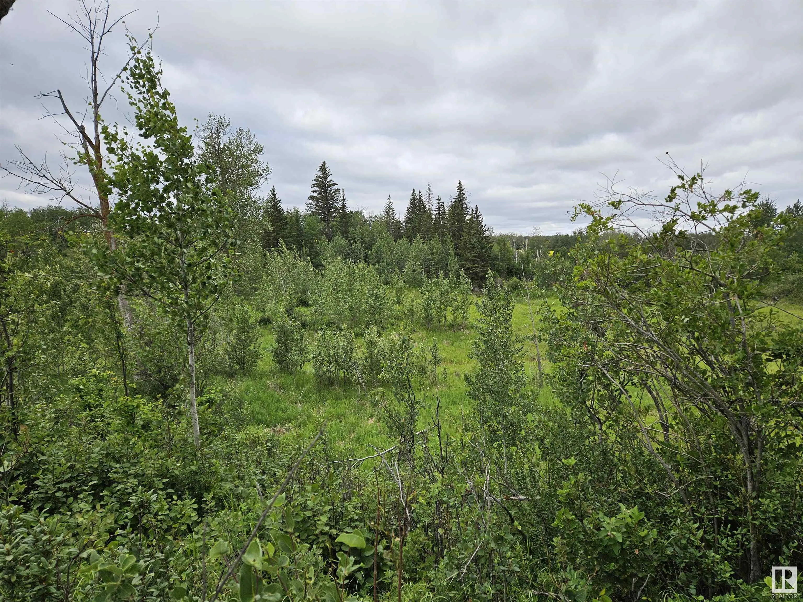 TWP RD 533 RR222