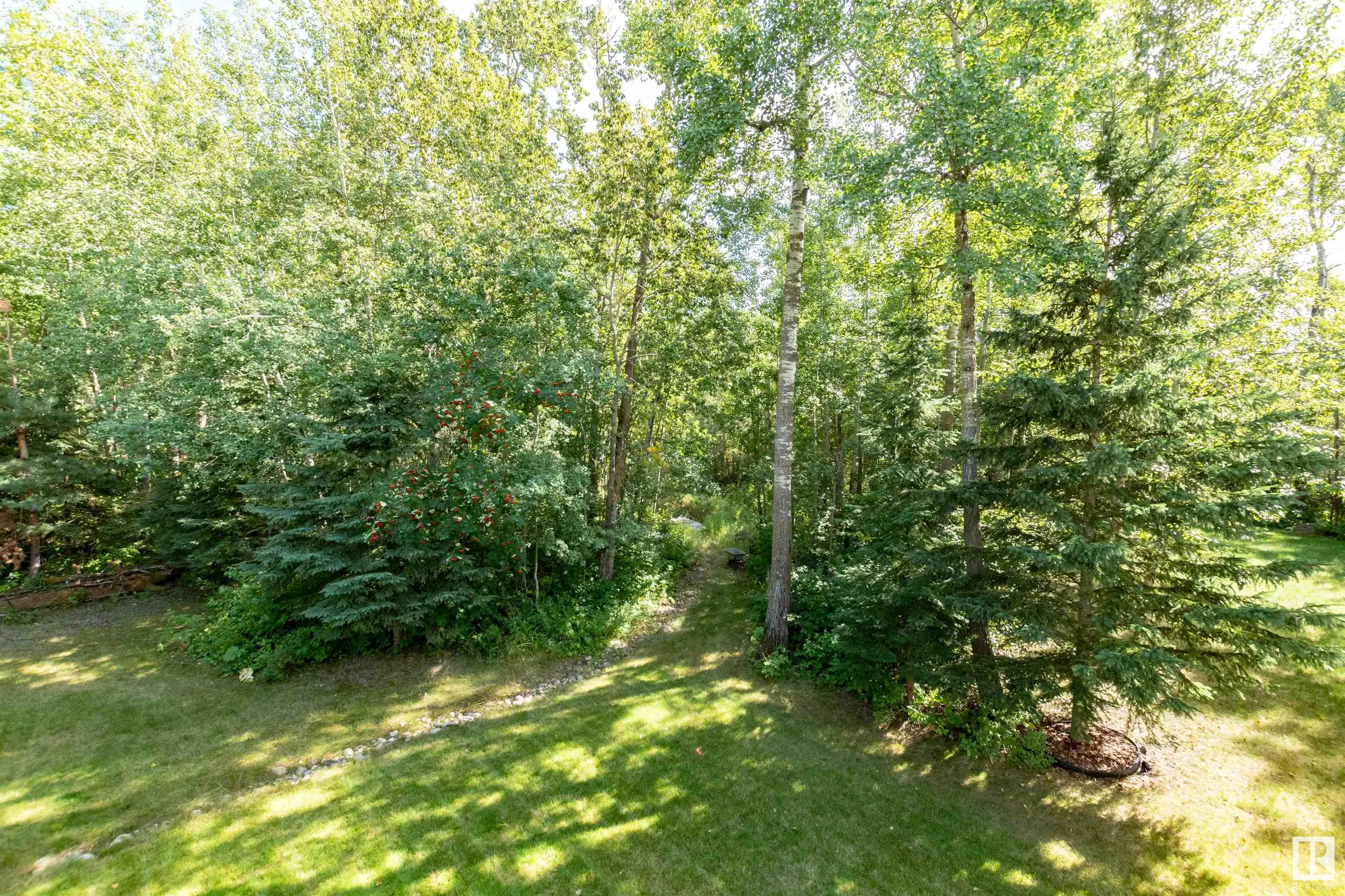 338, 52147 RGE RD 231