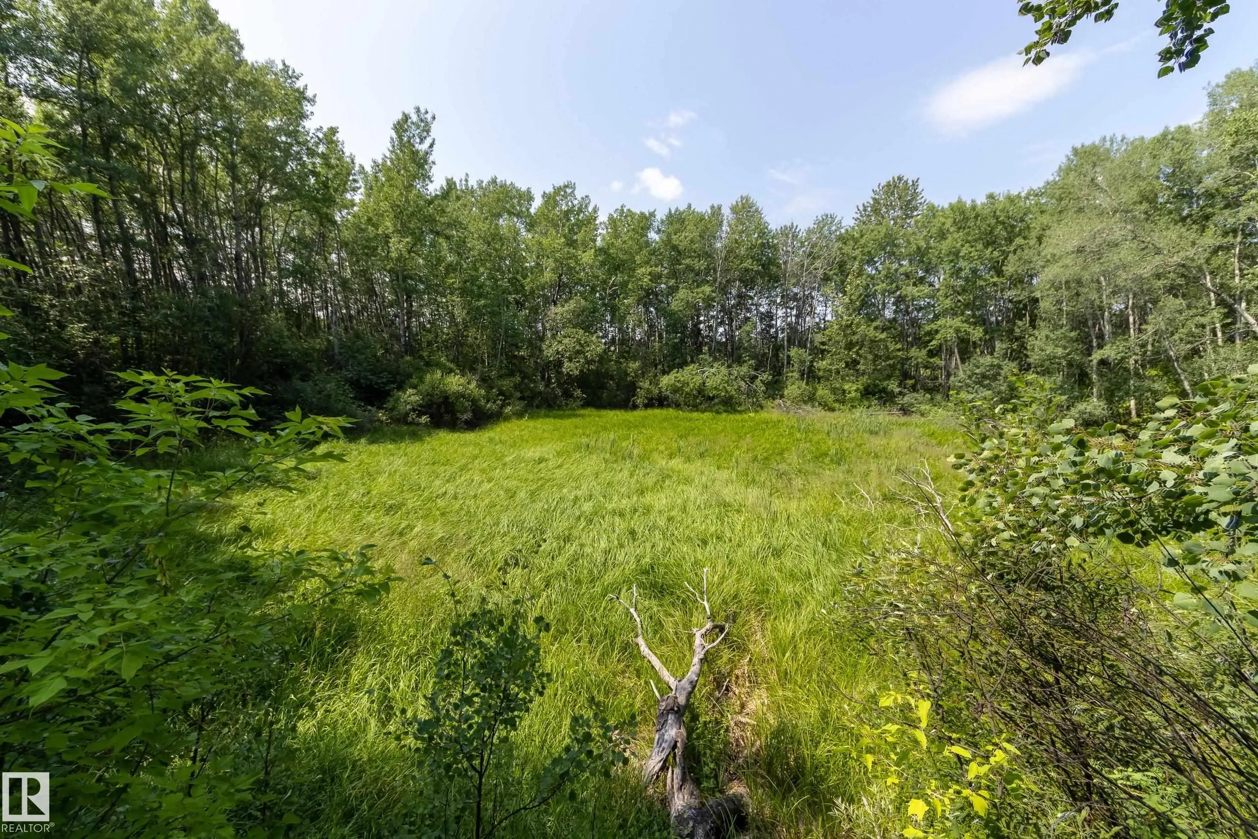 1524 PARKLAND Drive
