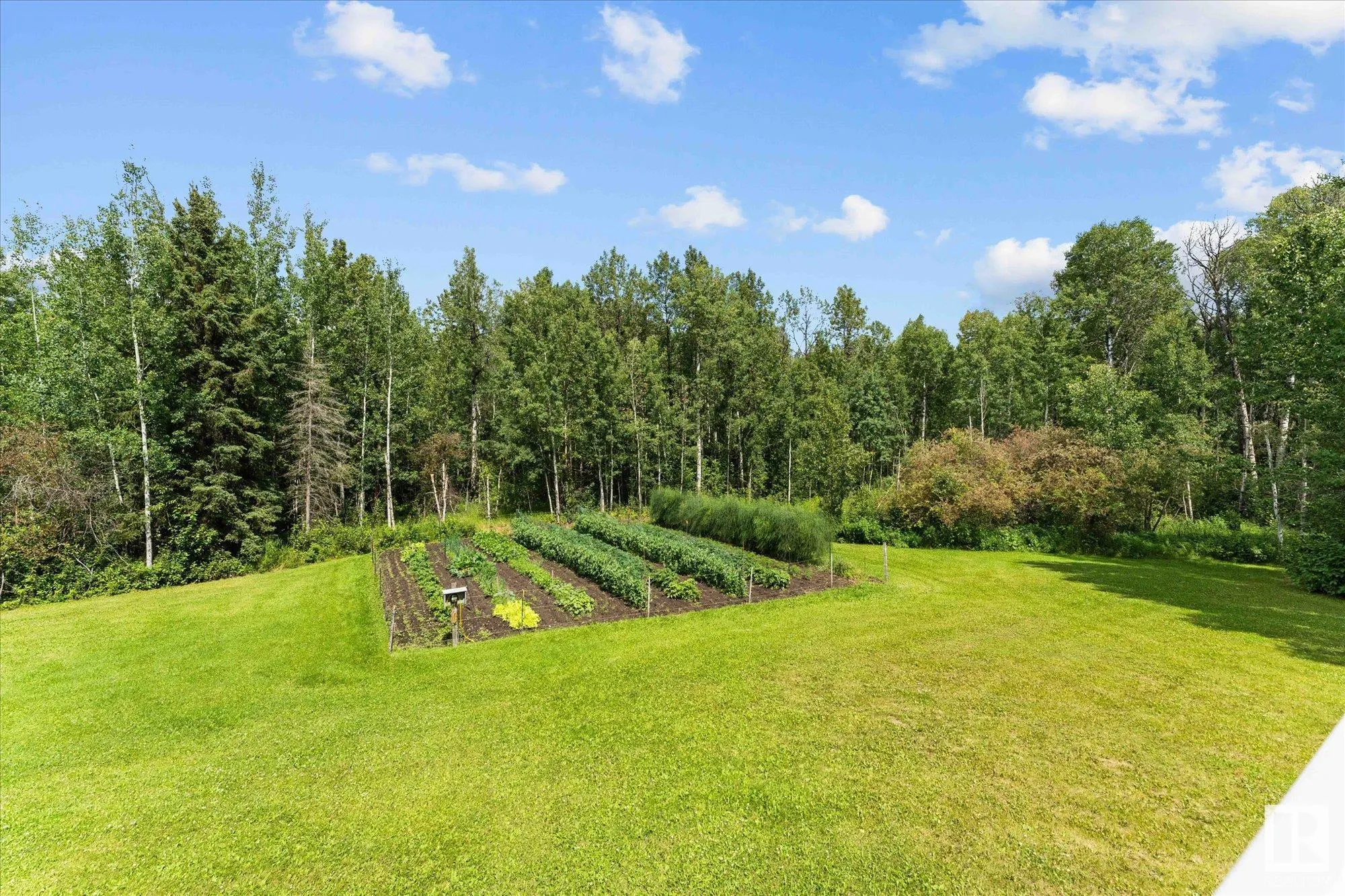 6316 HGHWAY 16